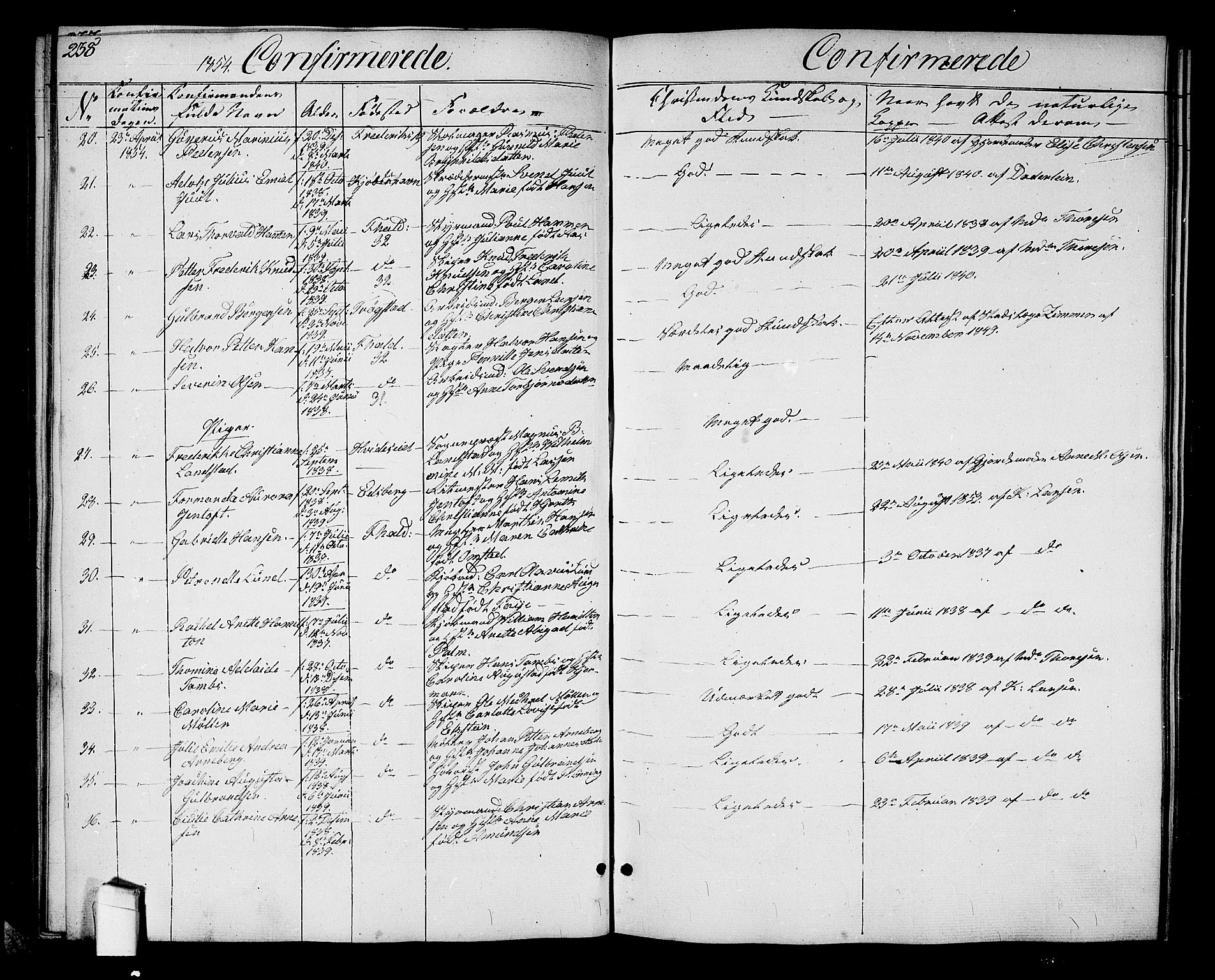 Halden prestekontor Kirkebøker, SAO/A-10909/G/Ga/L0004: Parish register (copy) no. 4, 1845-1854, p. 238