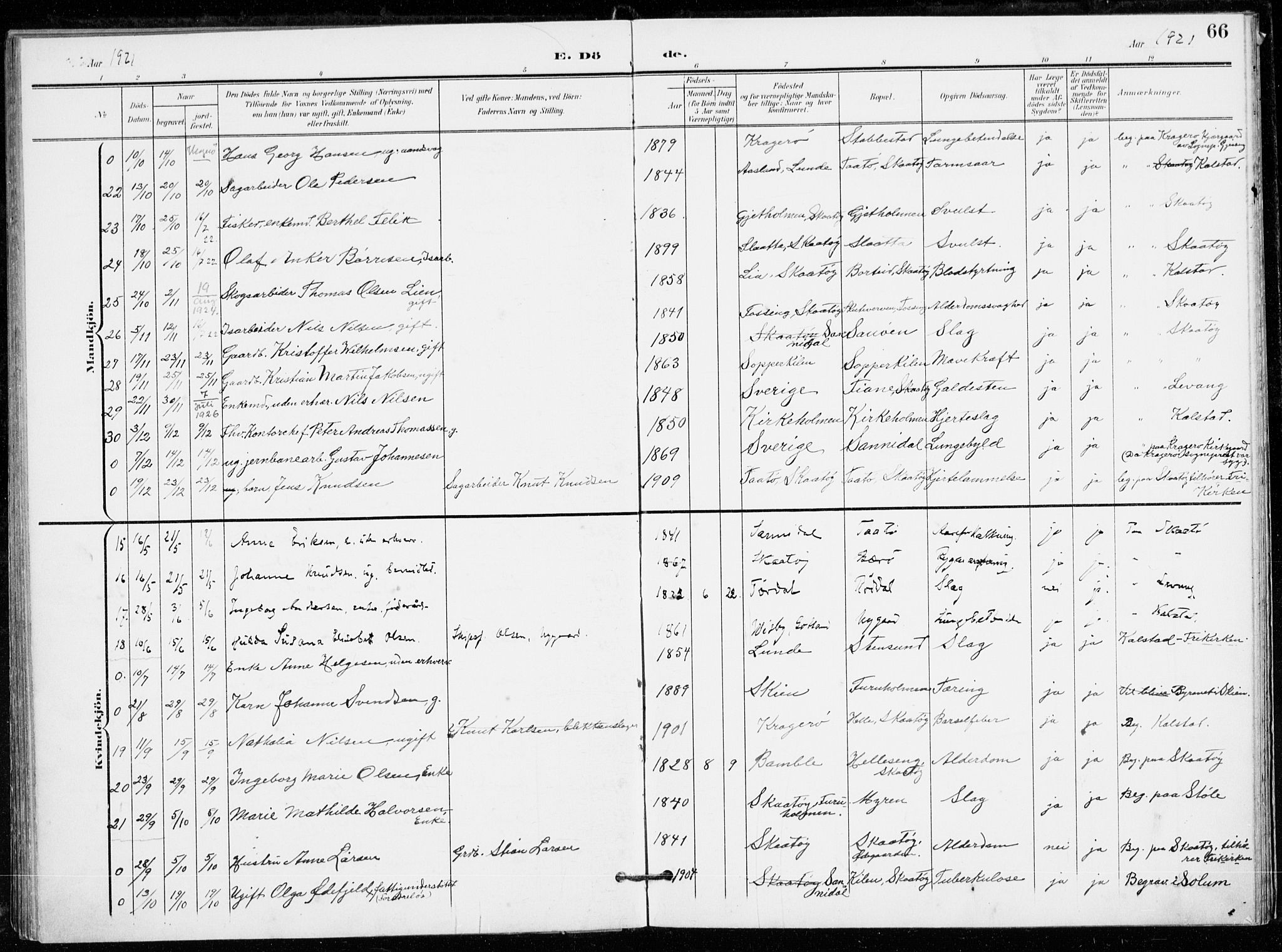 Skåtøy kirkebøker, AV/SAKO-A-304/F/Fa/L0005: Parish register (official) no. I 5, 1901-1923, p. 66