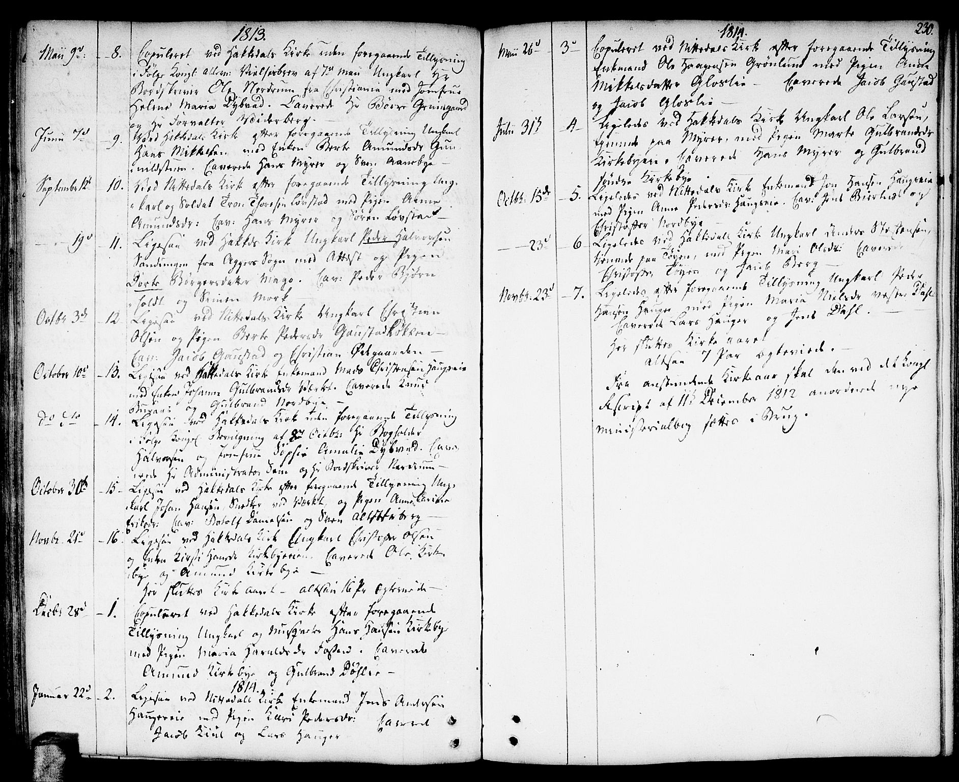Nittedal prestekontor Kirkebøker, SAO/A-10365a/F/Fa/L0002: Parish register (official) no. I 2, 1779-1814, p. 230