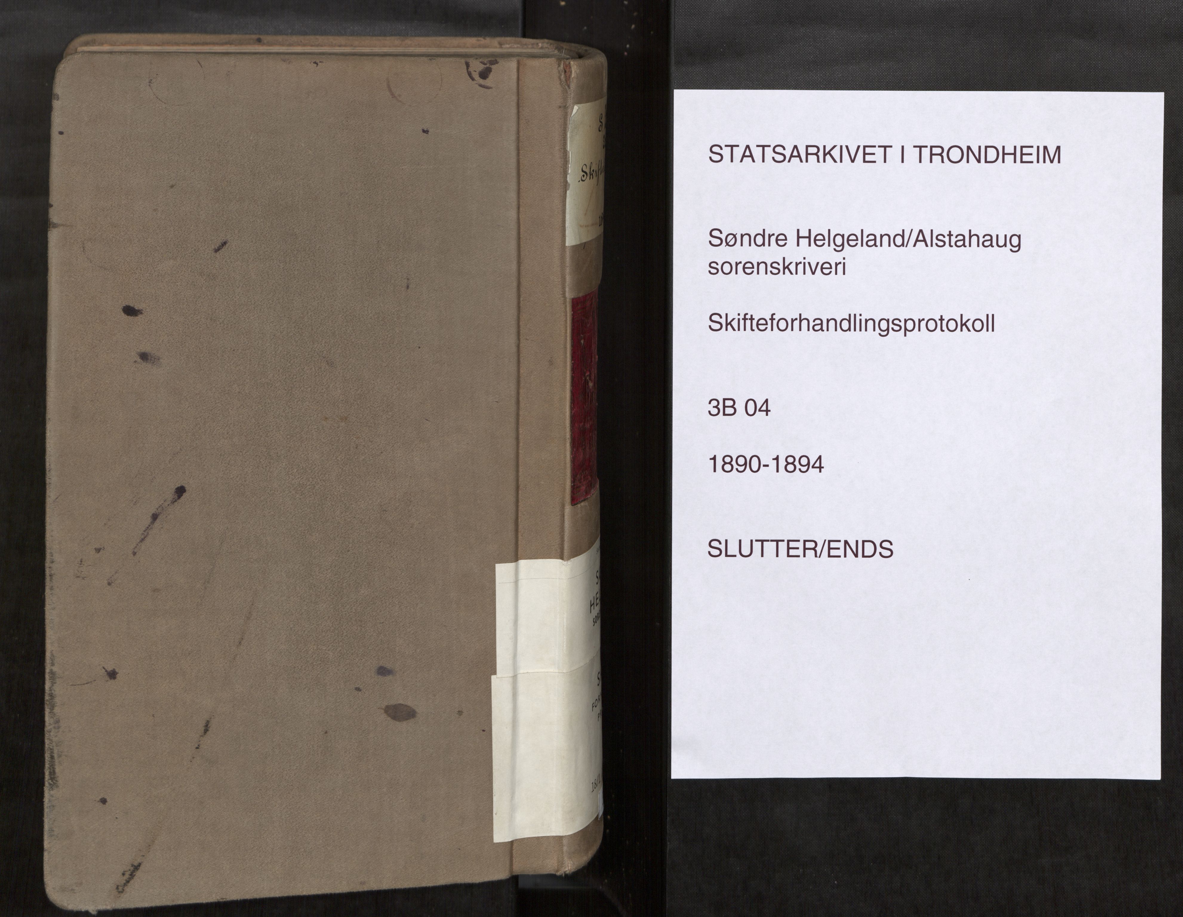 Søndre Helgeland sorenskriveri, SAT/A-4575/1/3/3B/L0004: Skiftebehandlingsprotokoll, 1890-1894, p. 666