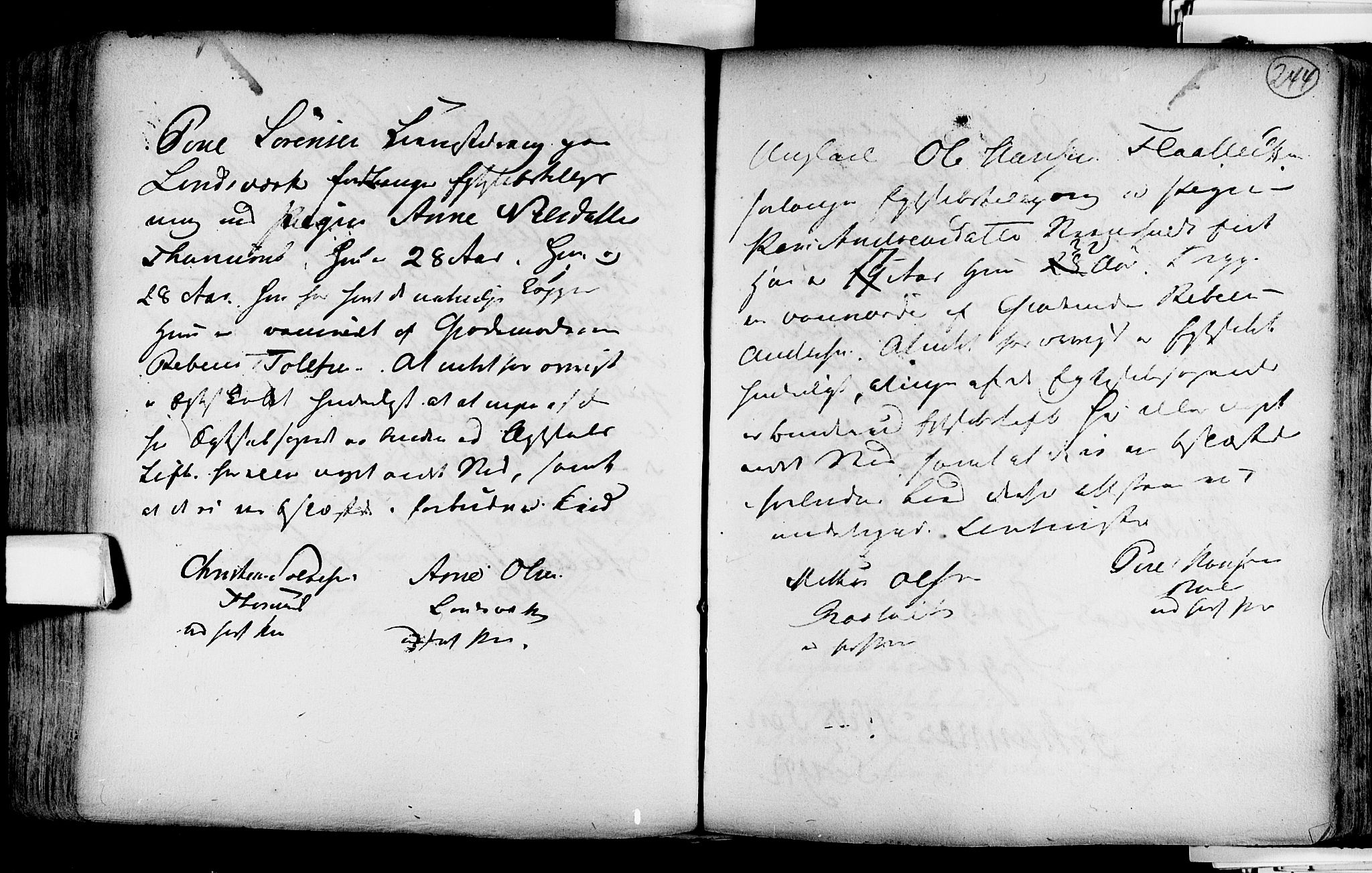 Lardal kirkebøker, SAKO/A-350/F/Fa/L0004: Parish register (official) no. i 4, 1733-1815, p. 244