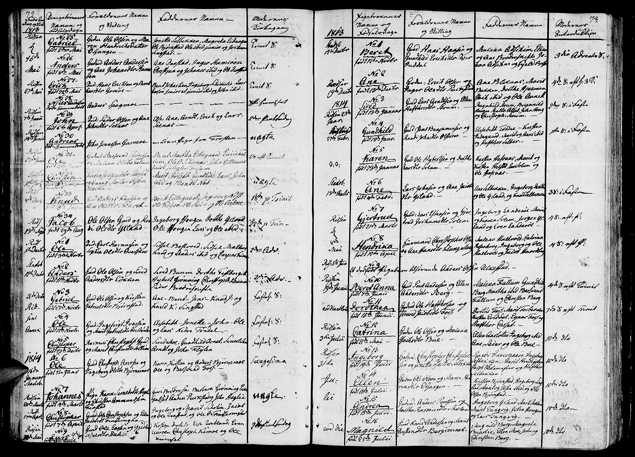 Ministerialprotokoller, klokkerbøker og fødselsregistre - Sør-Trøndelag, SAT/A-1456/646/L0607: Parish register (official) no. 646A05, 1806-1815, p. 72-73