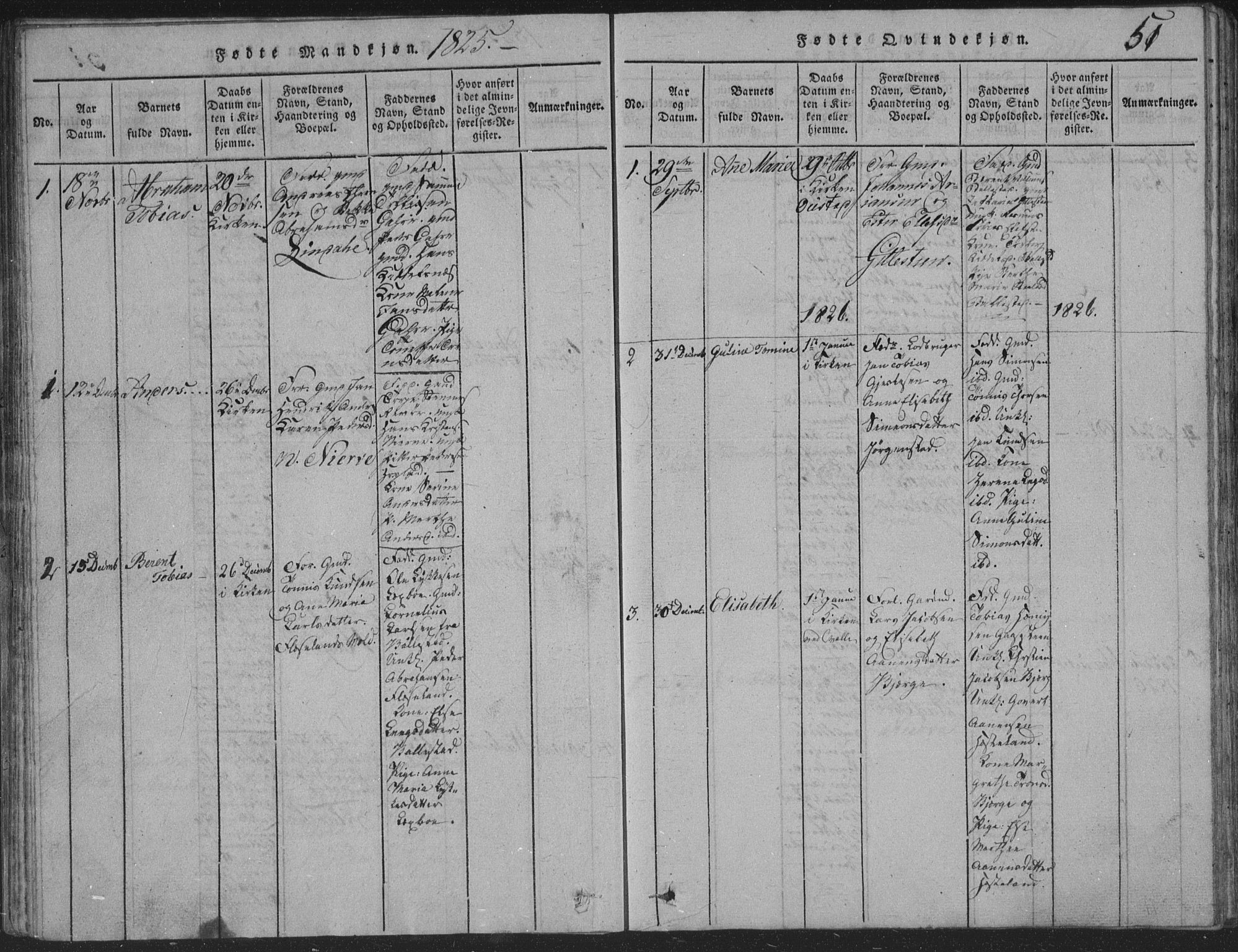 Sør-Audnedal sokneprestkontor, SAK/1111-0039/F/Fb/Fba/L0001: Parish register (copy) no. B 1, 1815-1850, p. 51