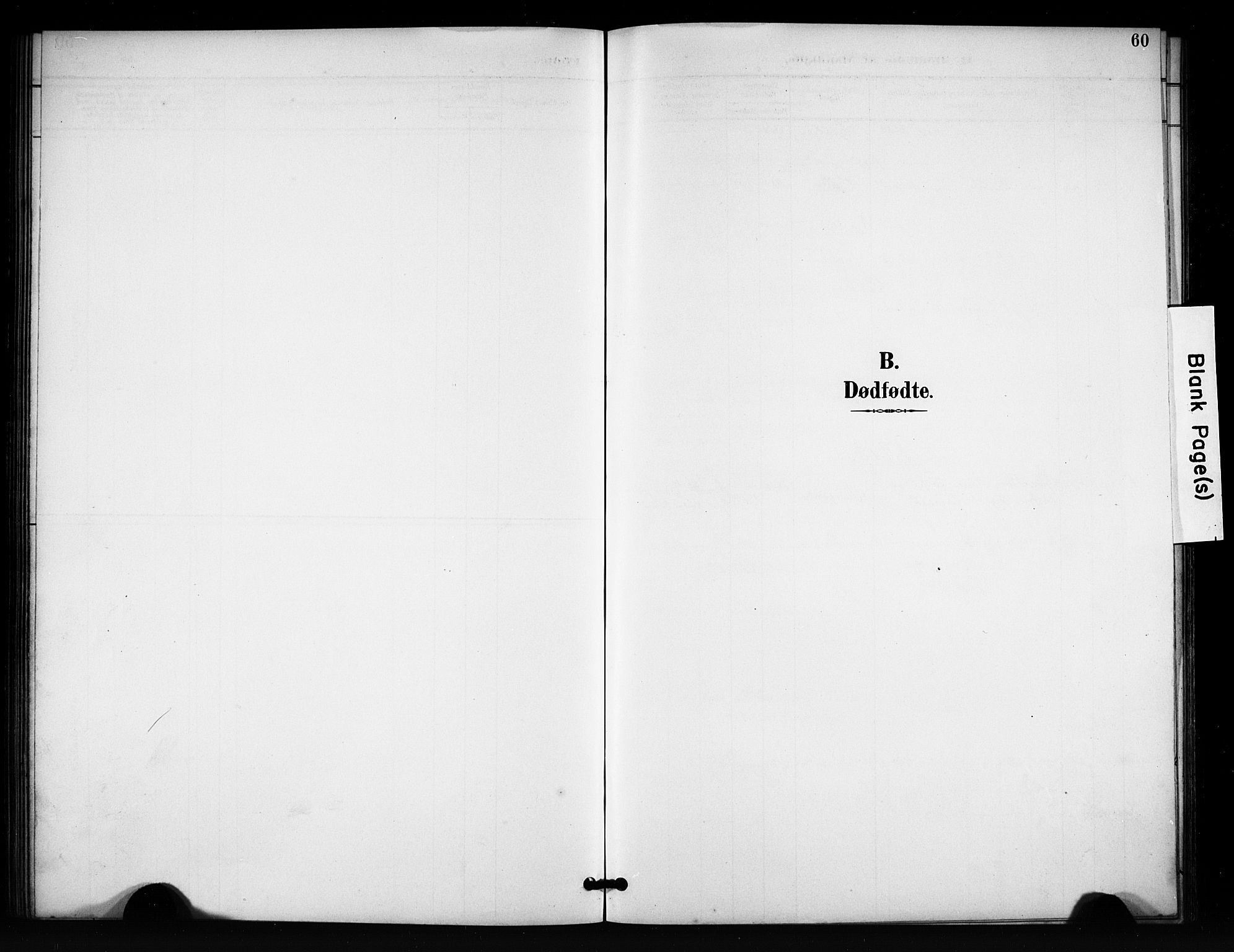 Vang prestekontor, Valdres, SAH/PREST-140/H/Hb/L0007: Parish register (copy) no. 7, 1893-1924, p. 60