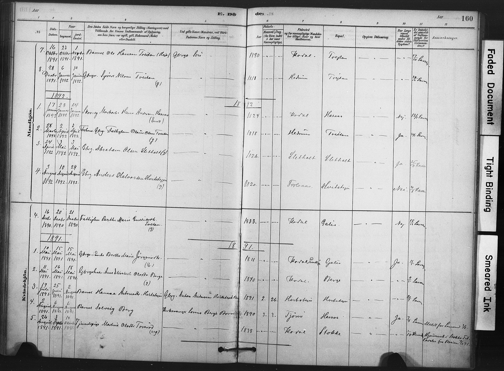 Andebu kirkebøker, AV/SAKO-A-336/F/Fc/L0001: Parish register (official) no. III 1, 1878-1902, p. 160