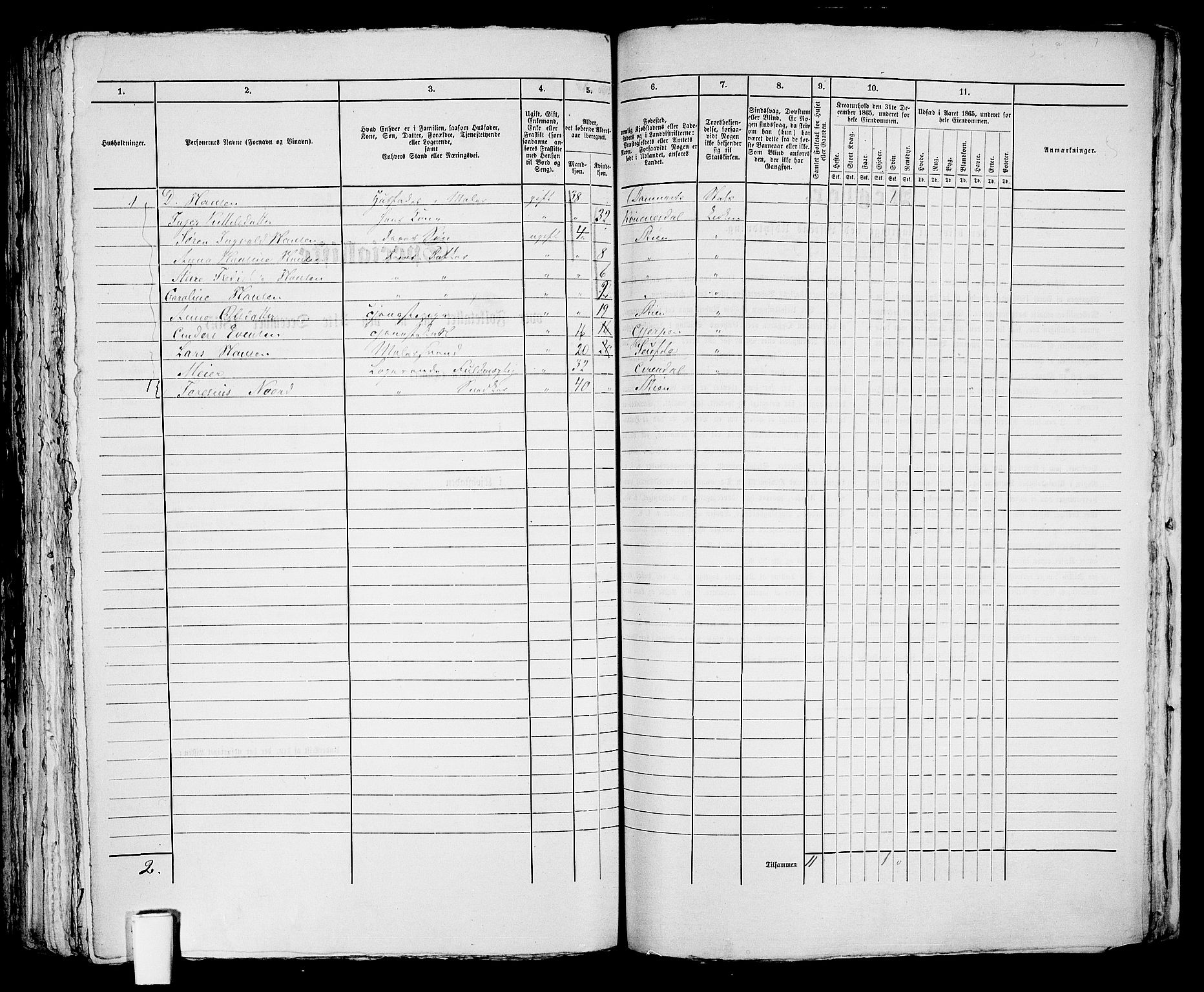 RA, 1865 census for Skien, 1865, p. 1131