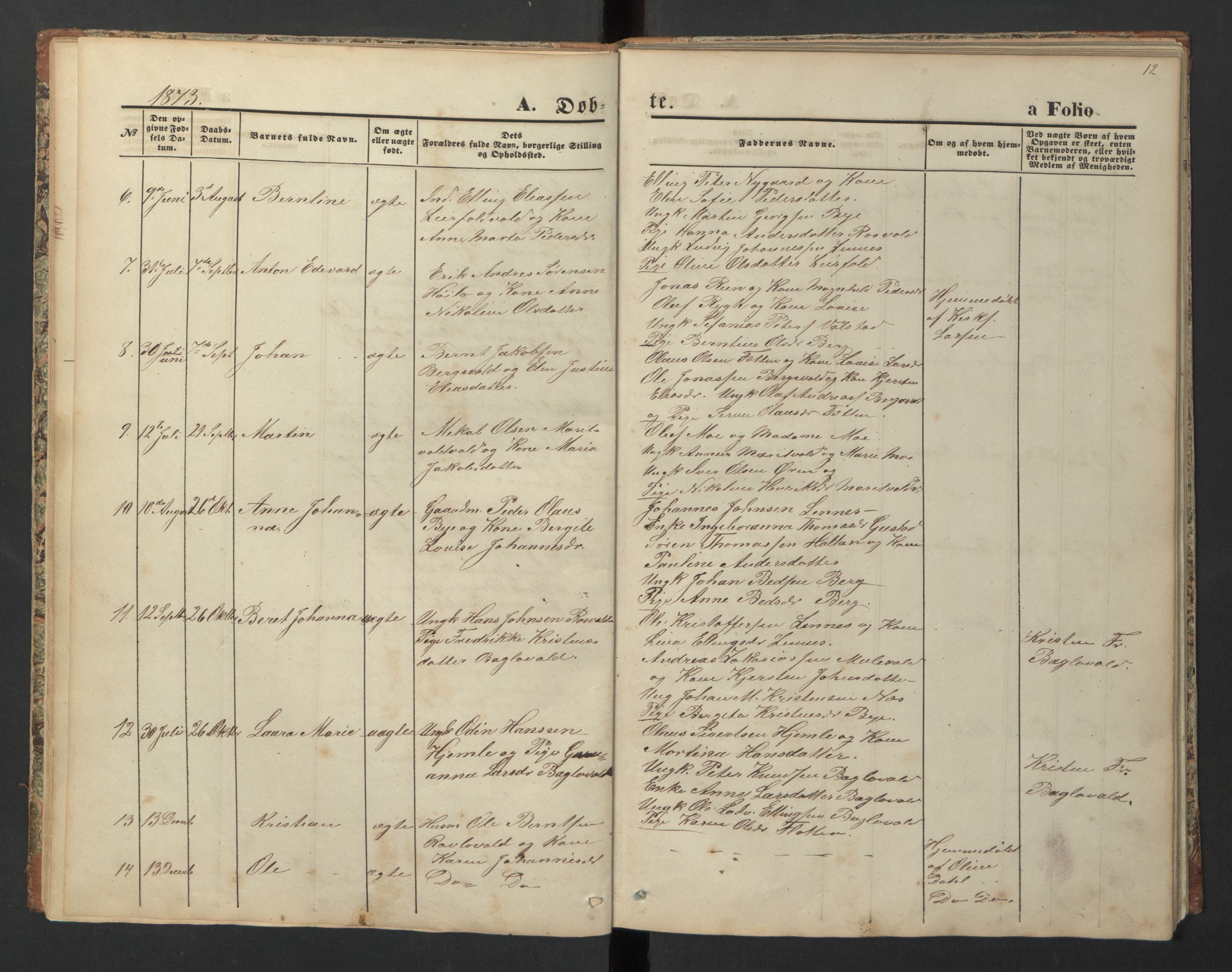Ministerialprotokoller, klokkerbøker og fødselsregistre - Nord-Trøndelag, SAT/A-1458/726/L0271: Parish register (copy) no. 726C02, 1869-1897, p. 12