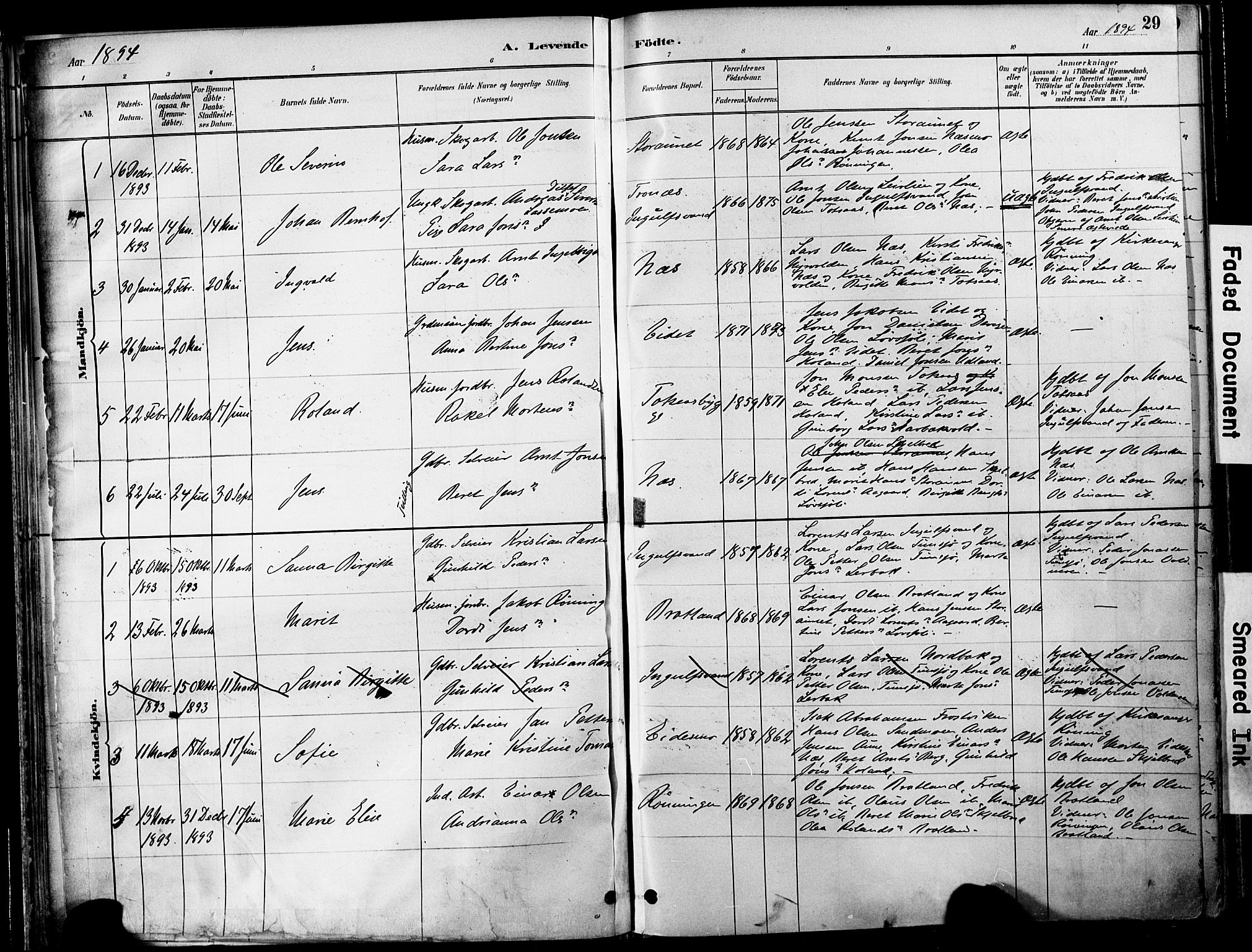 Ministerialprotokoller, klokkerbøker og fødselsregistre - Nord-Trøndelag, SAT/A-1458/755/L0494: Parish register (official) no. 755A03, 1882-1902, p. 29