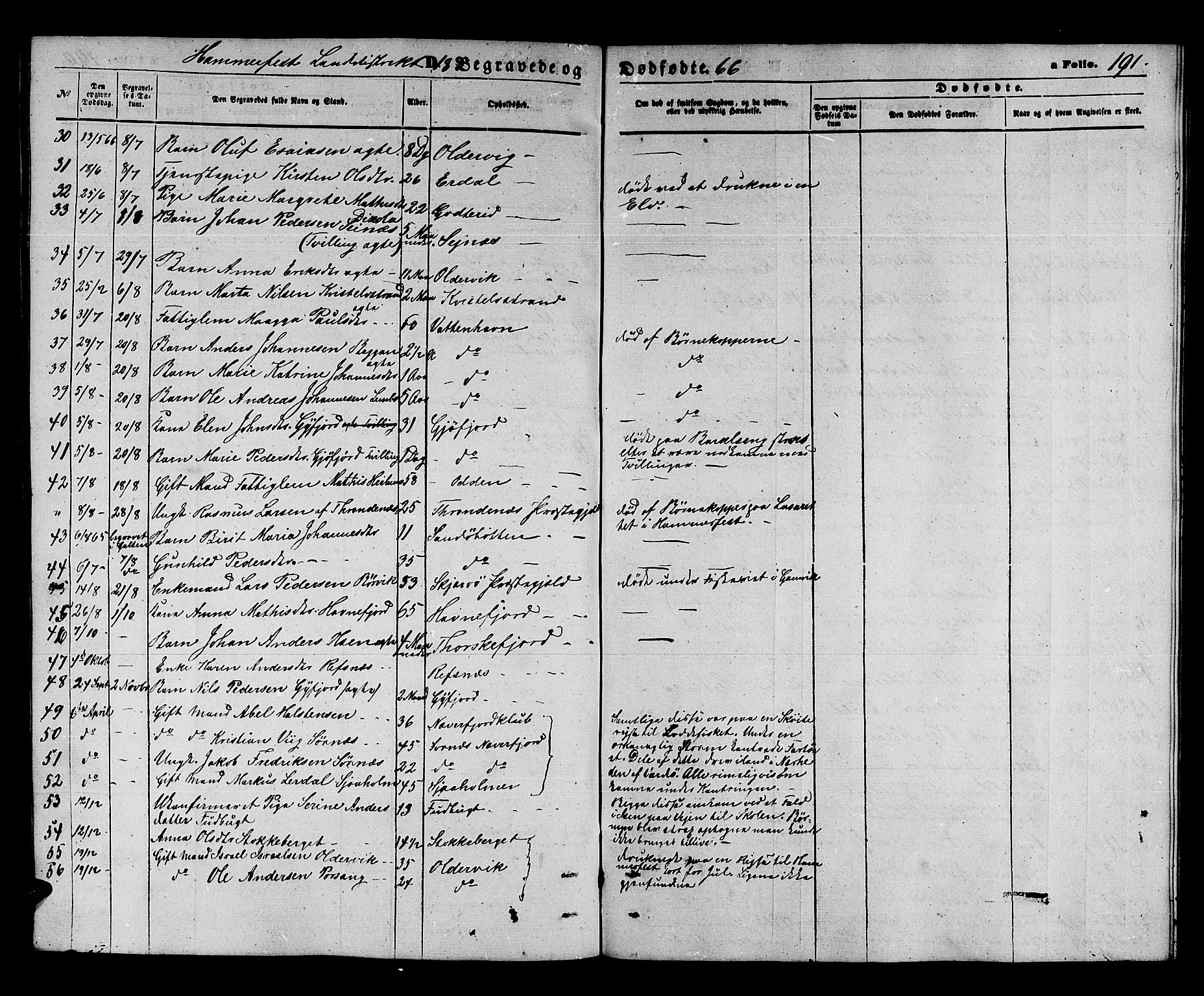 Hammerfest sokneprestkontor, AV/SATØ-S-1347/H/Hb/L0003.klokk: Parish register (copy) no. 3 /2, 1863-1868, p. 191