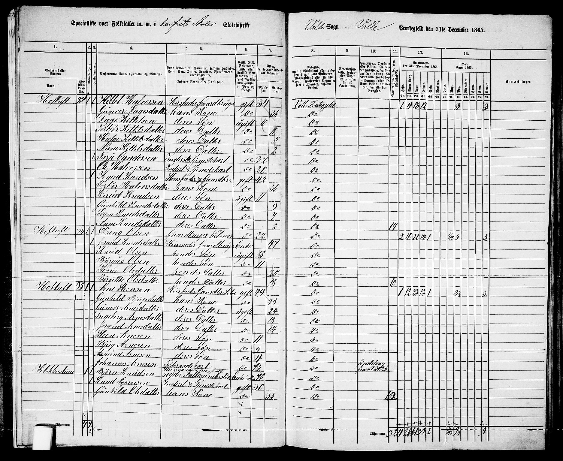 RA, 1865 census for Valle, 1865, p. 12