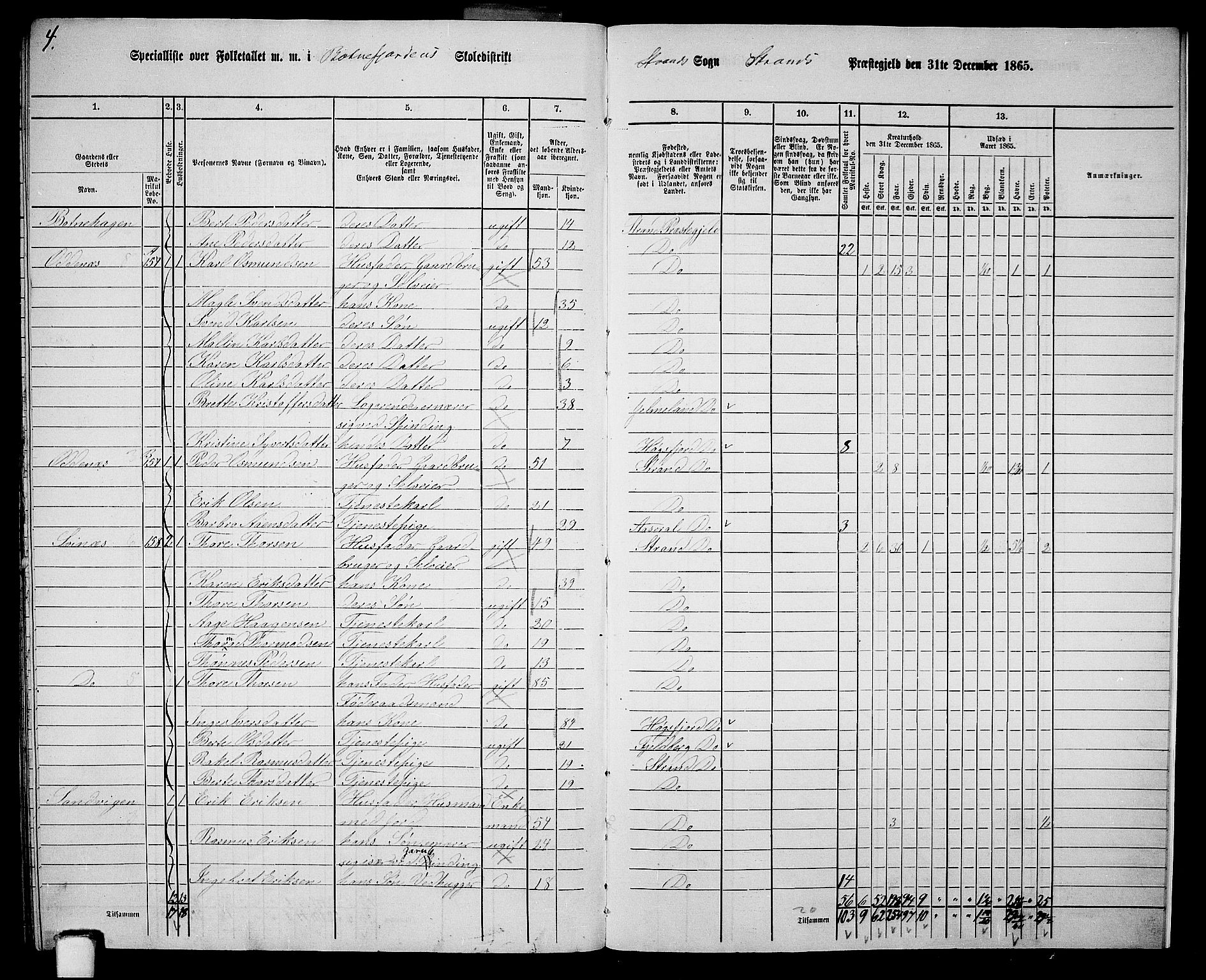 RA, 1865 census for Strand, 1865, p. 91