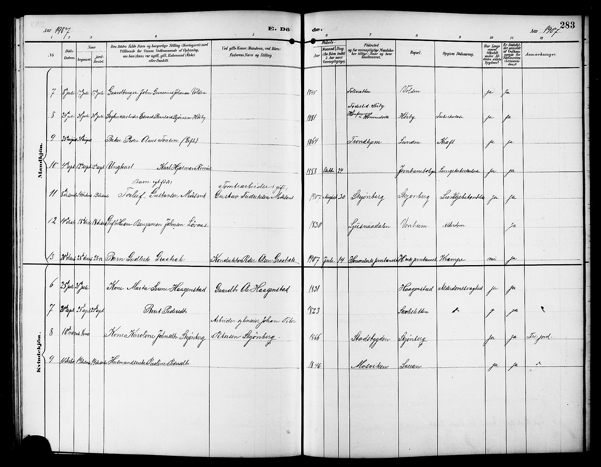 Ministerialprotokoller, klokkerbøker og fødselsregistre - Sør-Trøndelag, SAT/A-1456/617/L0431: Parish register (copy) no. 617C01, 1889-1910, p. 283