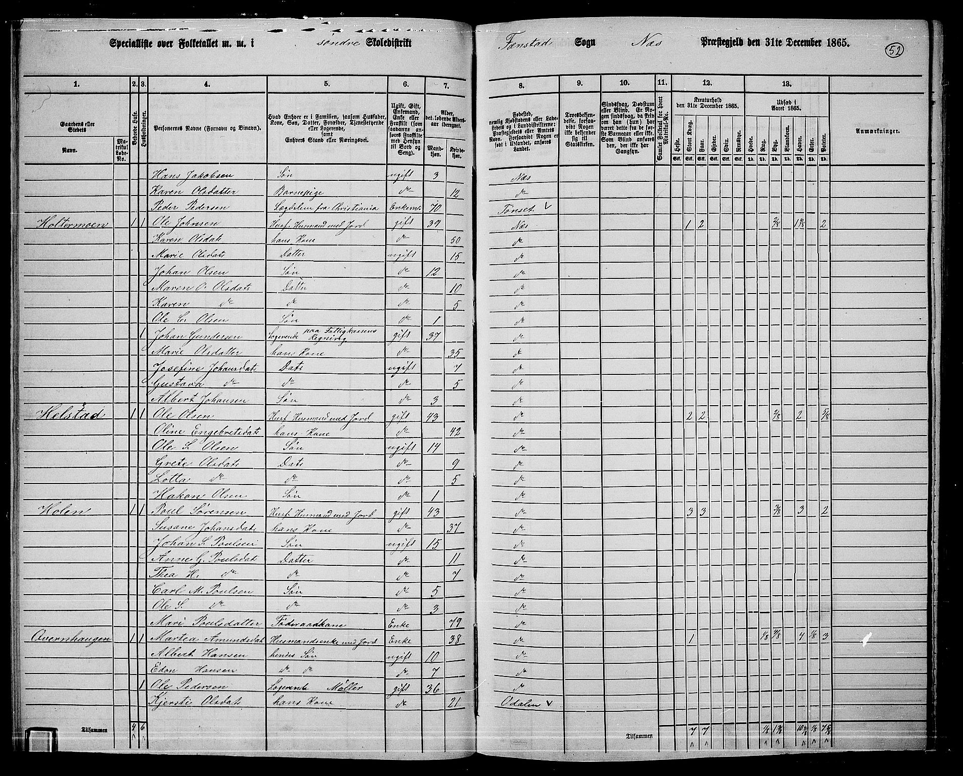 RA, 1865 census for Nes, 1865, p. 49