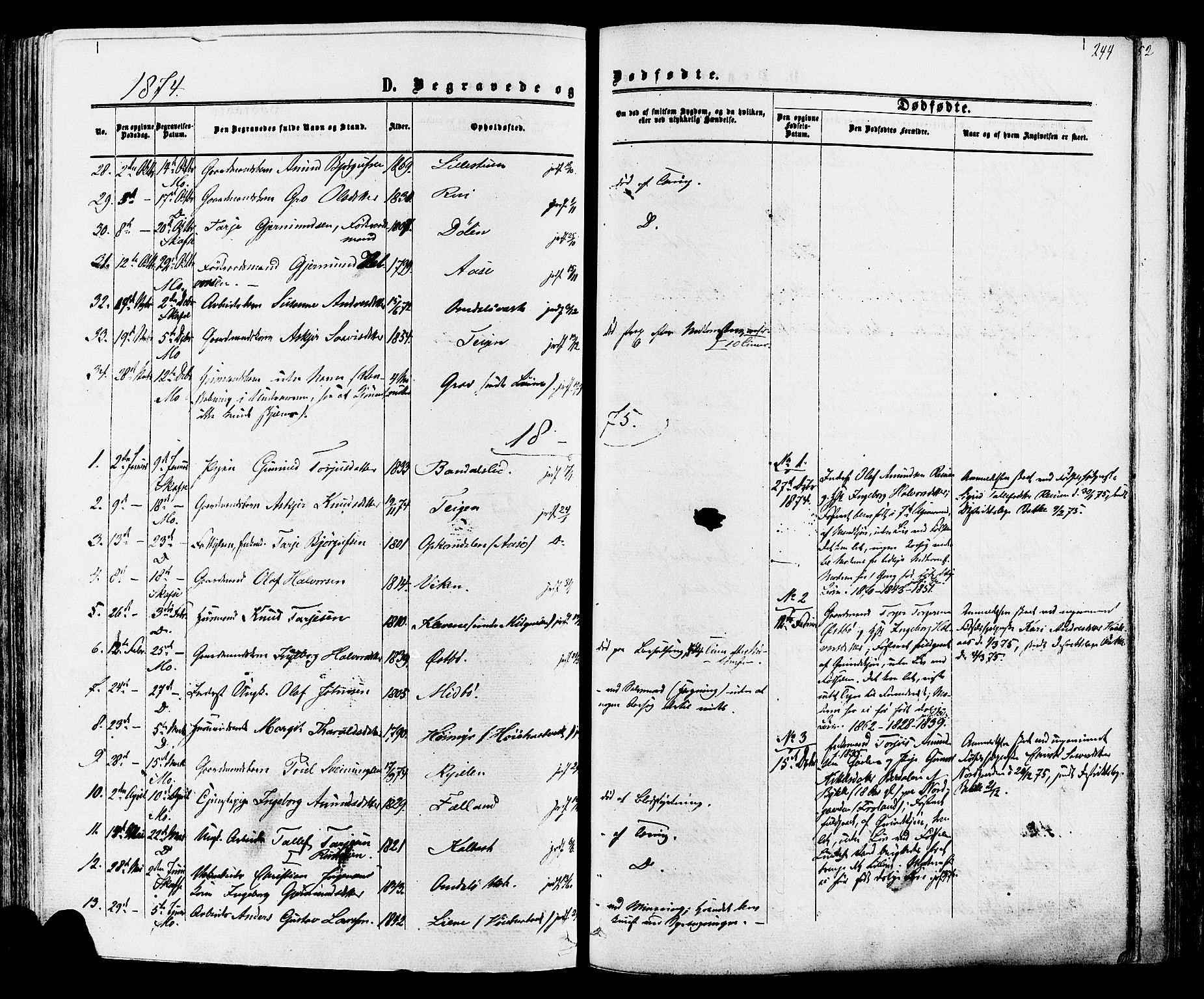 Mo kirkebøker, AV/SAKO-A-286/F/Fa/L0006: Parish register (official) no. I 6, 1865-1885, p. 244