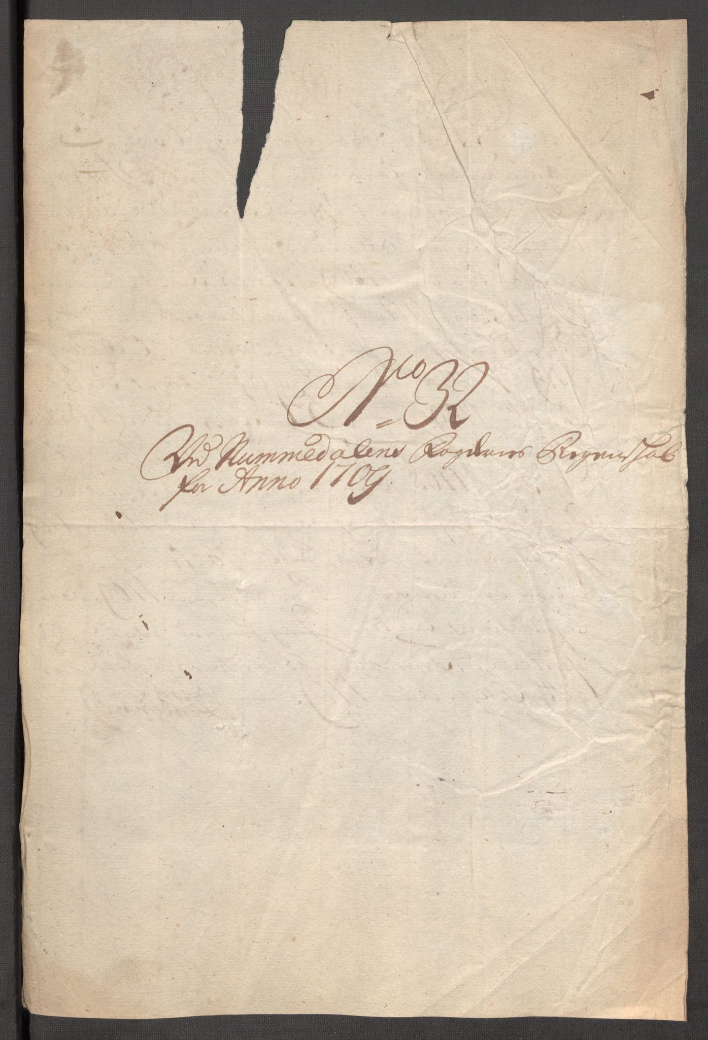 Rentekammeret inntil 1814, Reviderte regnskaper, Fogderegnskap, AV/RA-EA-4092/R64/L4431: Fogderegnskap Namdal, 1709-1710, p. 223