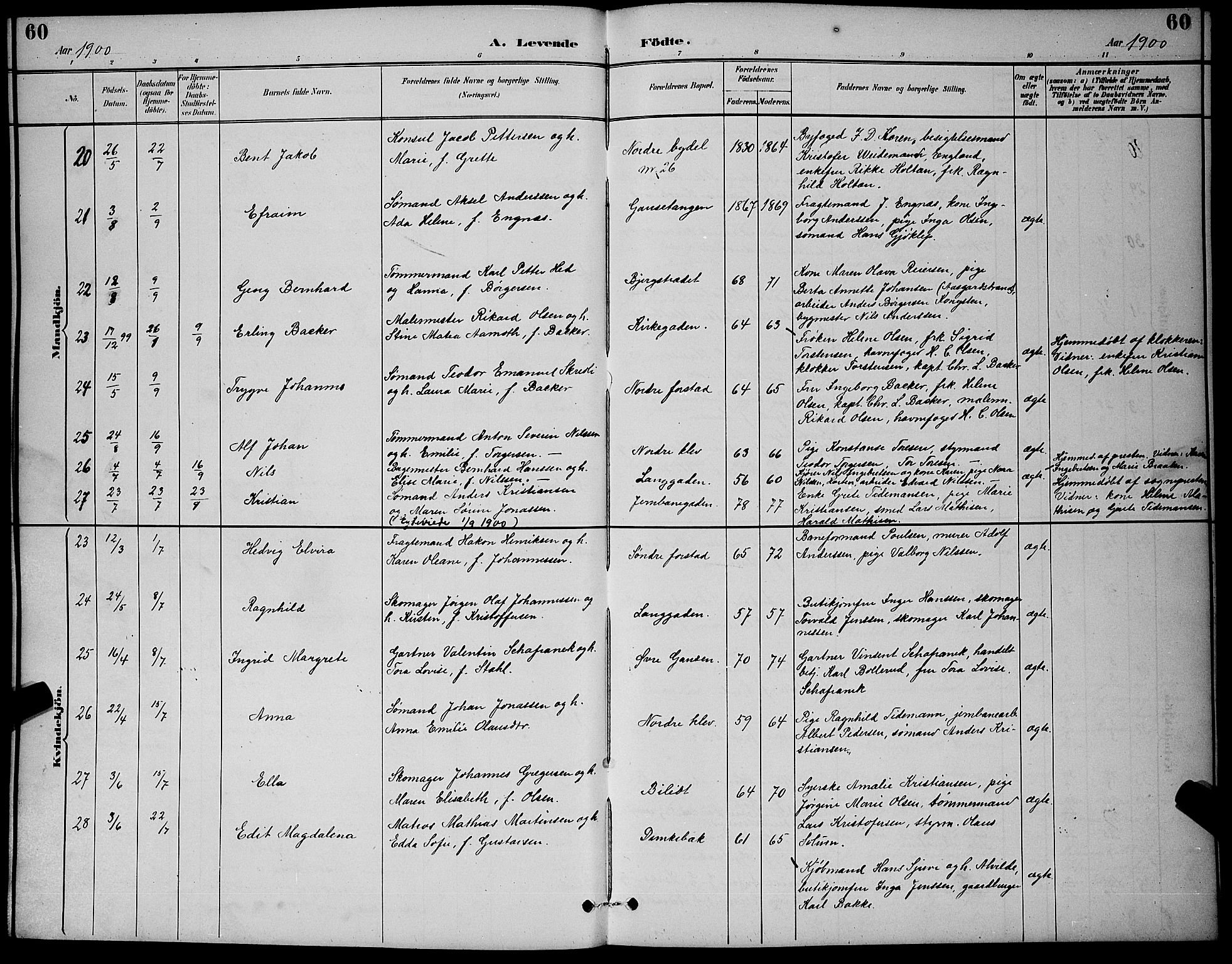 Holmestrand kirkebøker, AV/SAKO-A-346/G/Ga/L0005: Parish register (copy) no. 5, 1889-1901, p. 60