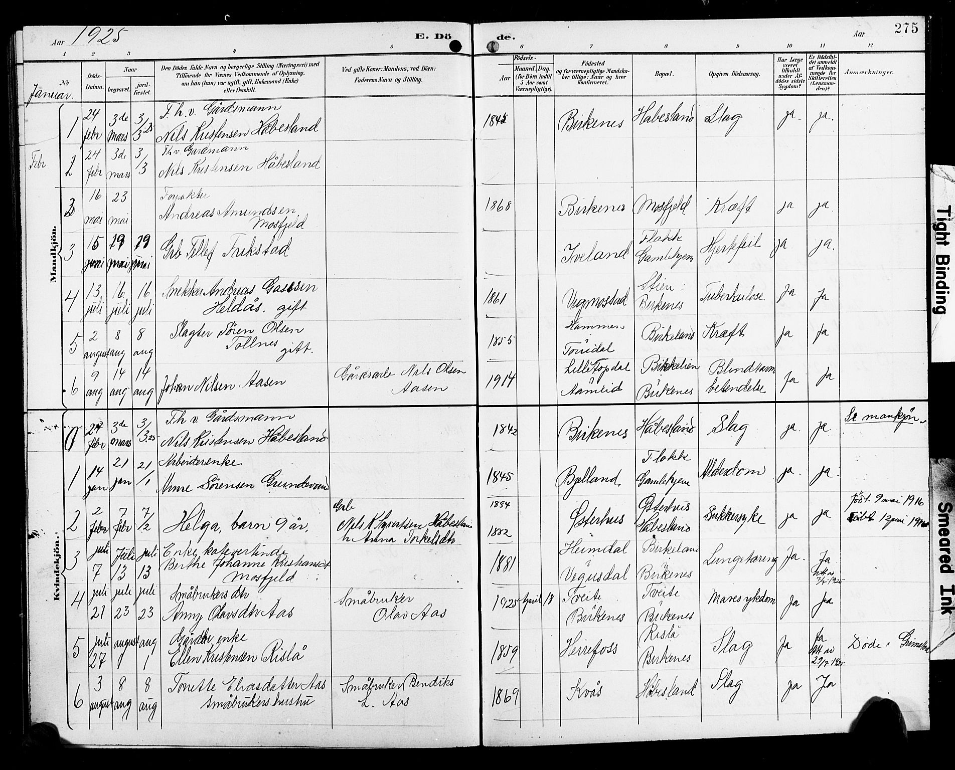 Birkenes sokneprestkontor, SAK/1111-0004/F/Fb/L0004: Parish register (copy) no. B 4, 1893-1930, p. 275