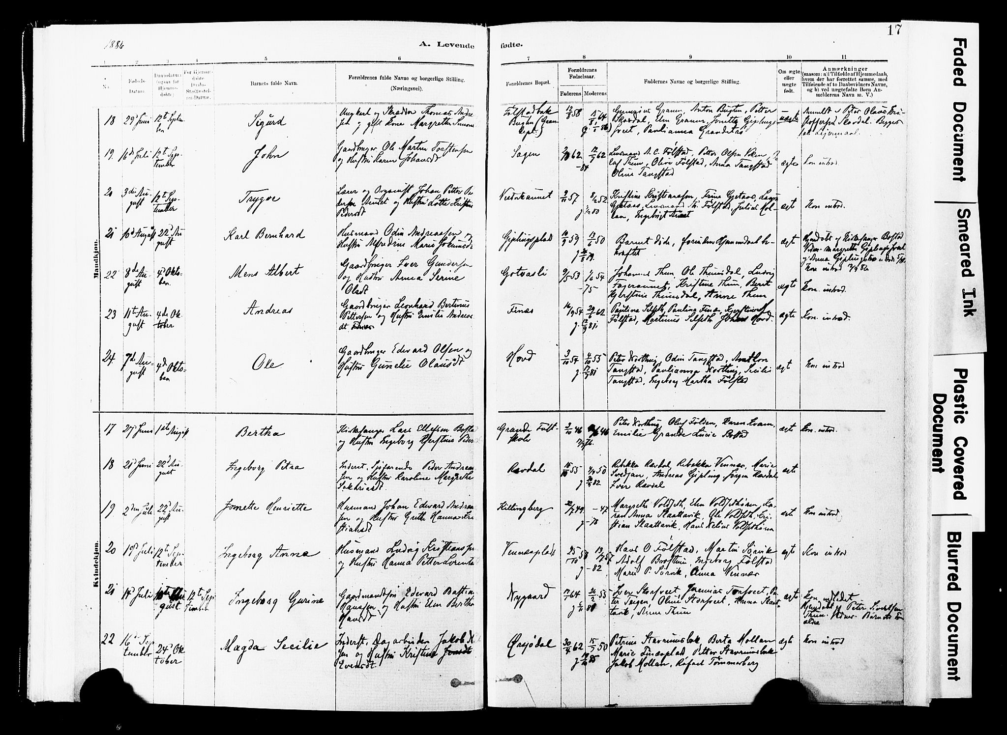 Ministerialprotokoller, klokkerbøker og fødselsregistre - Nord-Trøndelag, SAT/A-1458/744/L0420: Parish register (official) no. 744A04, 1882-1904, p. 17