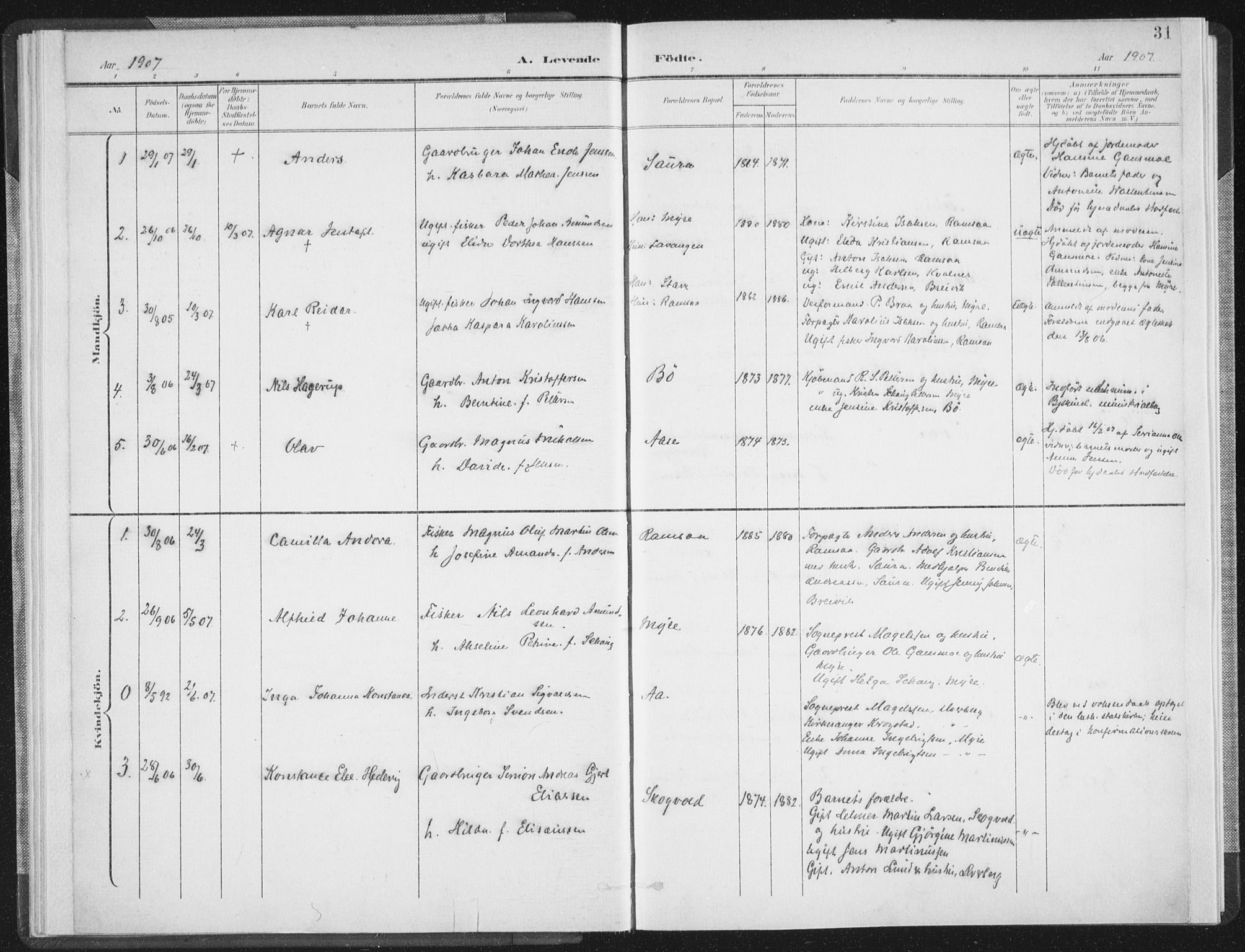 Ministerialprotokoller, klokkerbøker og fødselsregistre - Nordland, SAT/A-1459/897/L1400: Parish register (official) no. 897A07, 1897-1908, p. 31