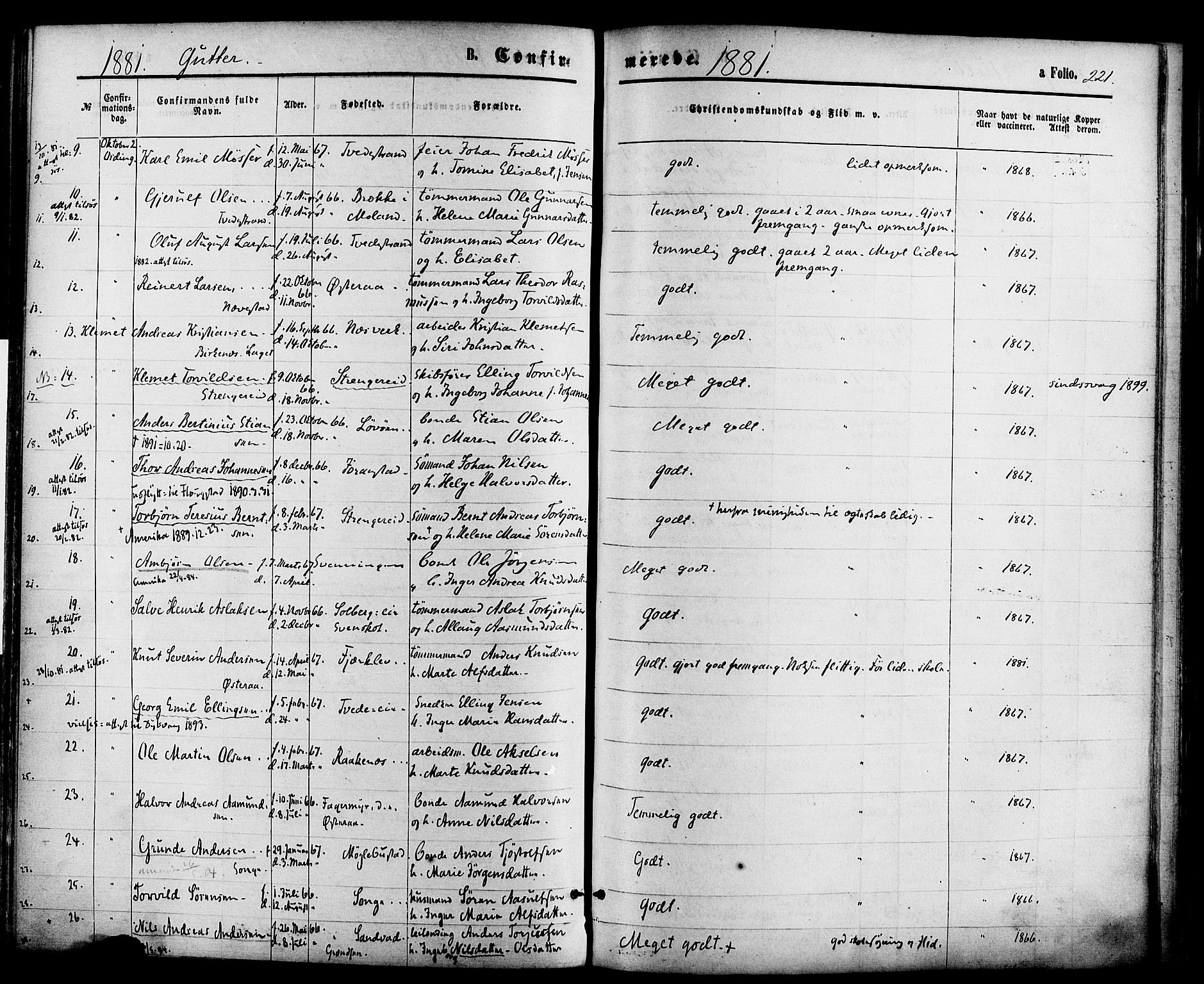 Holt sokneprestkontor, AV/SAK-1111-0021/F/Fa/L0010: Parish register (official) no. A 10, 1872-1885, p. 221