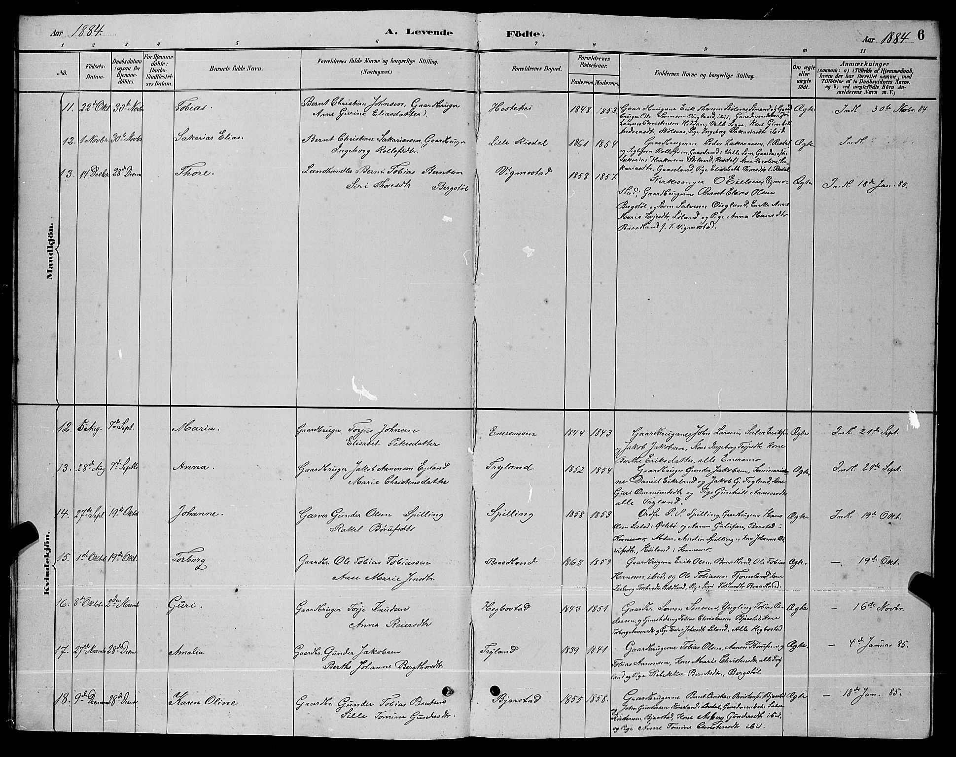 Nord-Audnedal sokneprestkontor, AV/SAK-1111-0032/F/Fb/Fbb/L0003: Parish register (copy) no. B 3, 1882-1900, p. 6