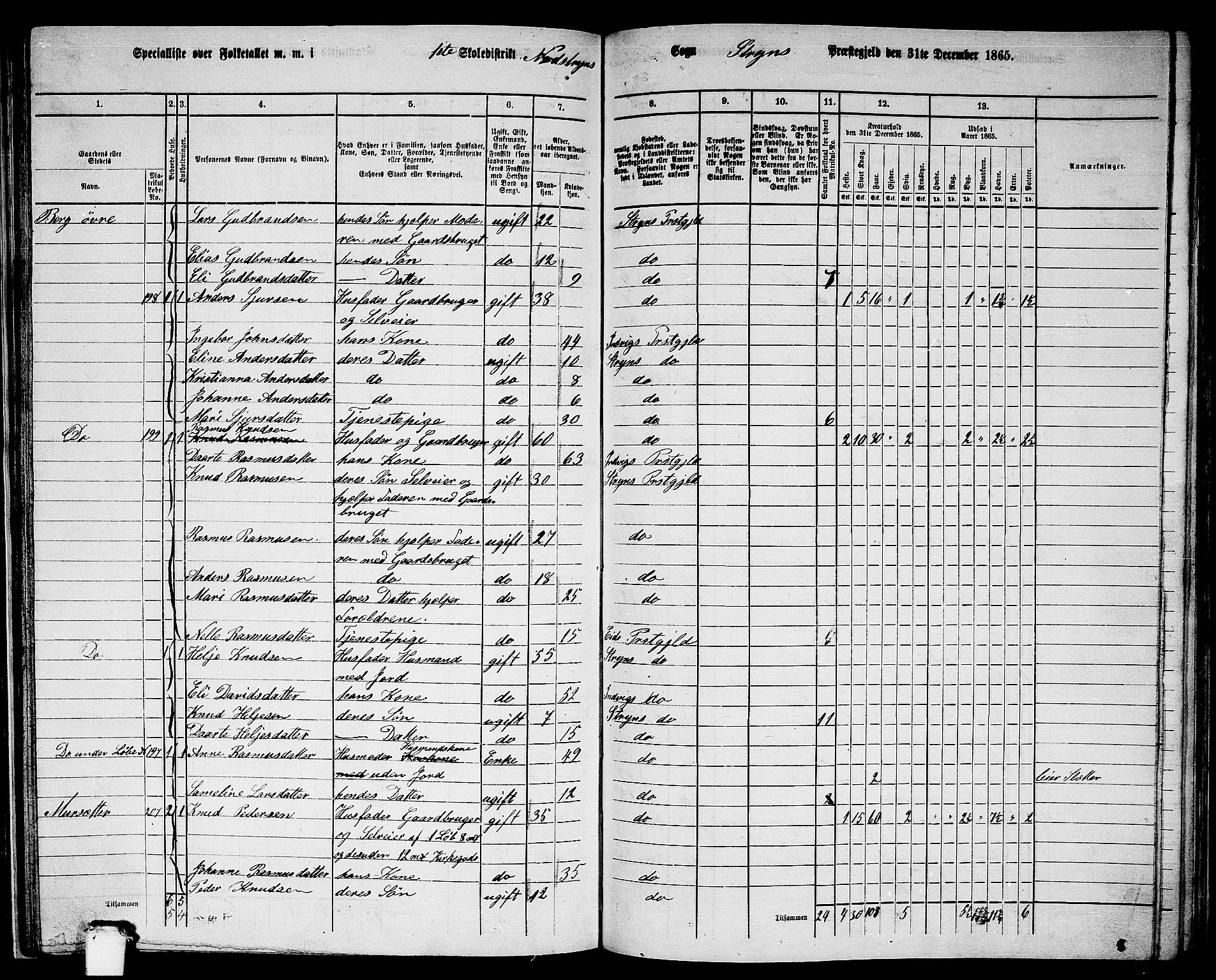 RA, 1865 census for Stryn, 1865, p. 51