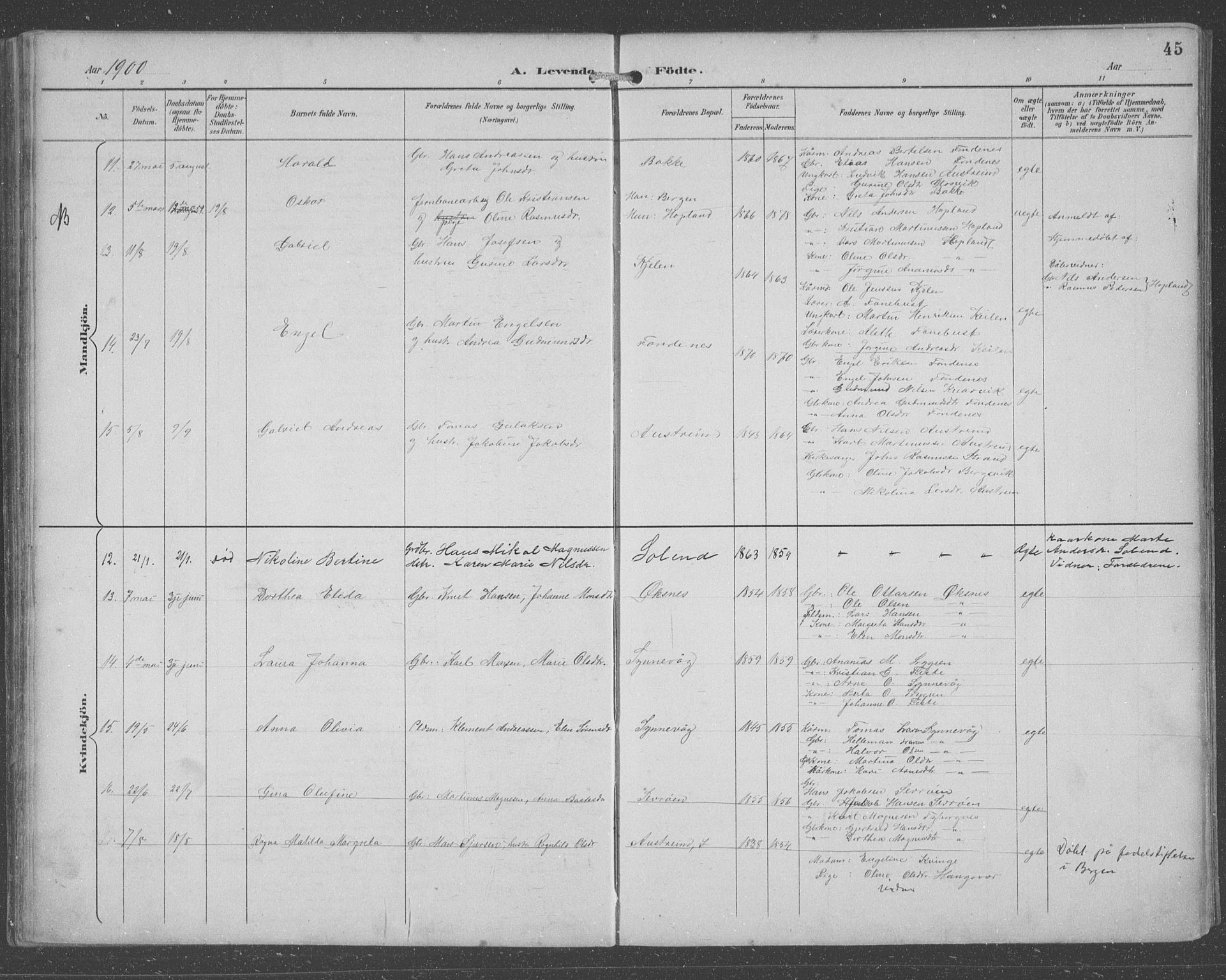 Lindås Sokneprestembete, SAB/A-76701/H/Hab: Parish register (copy) no. C 4, 1894-1910, p. 45