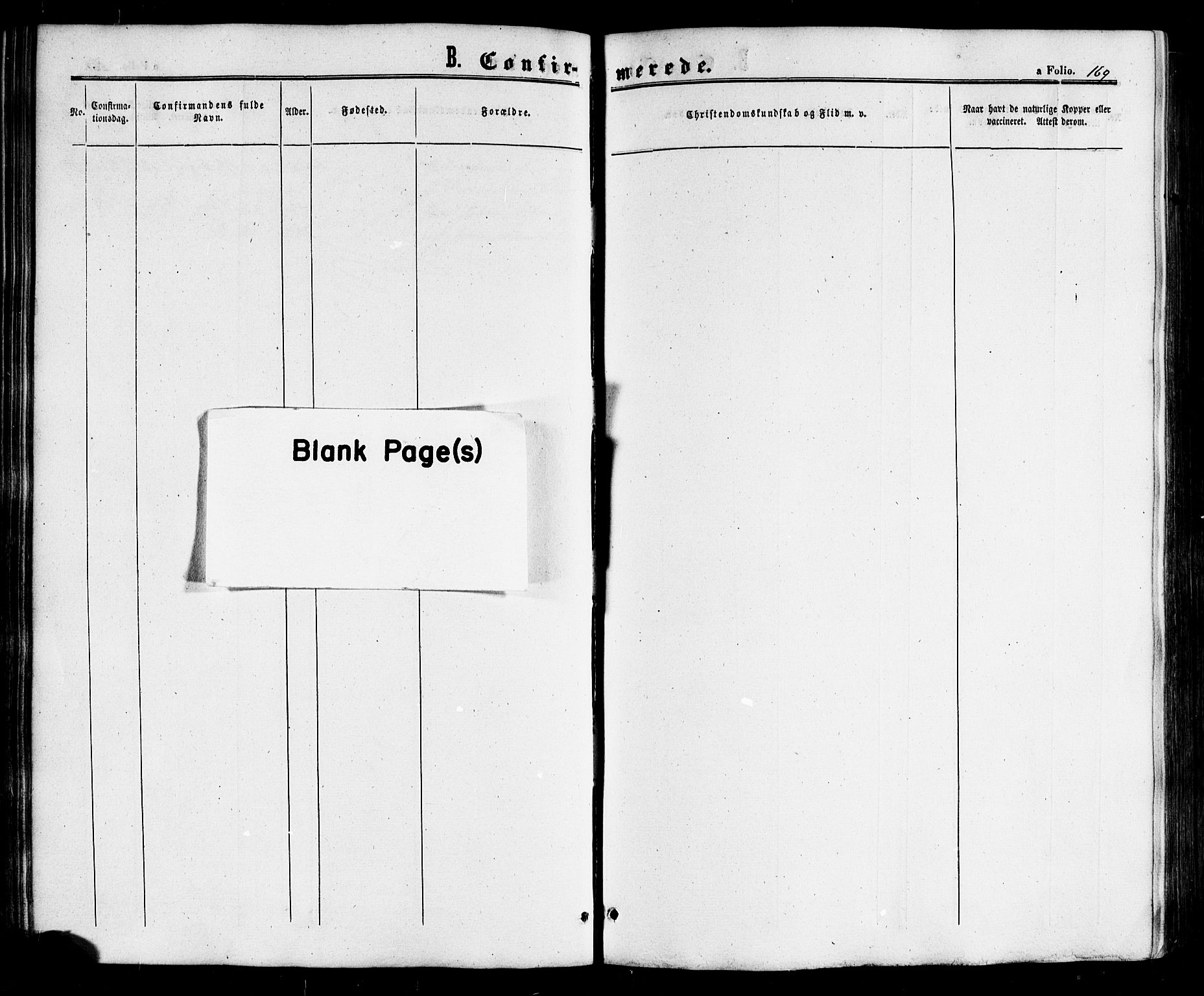 Ministerialprotokoller, klokkerbøker og fødselsregistre - Nordland, AV/SAT-A-1459/817/L0262: Parish register (official) no. 817A03/ 1, 1862-1877, p. 169