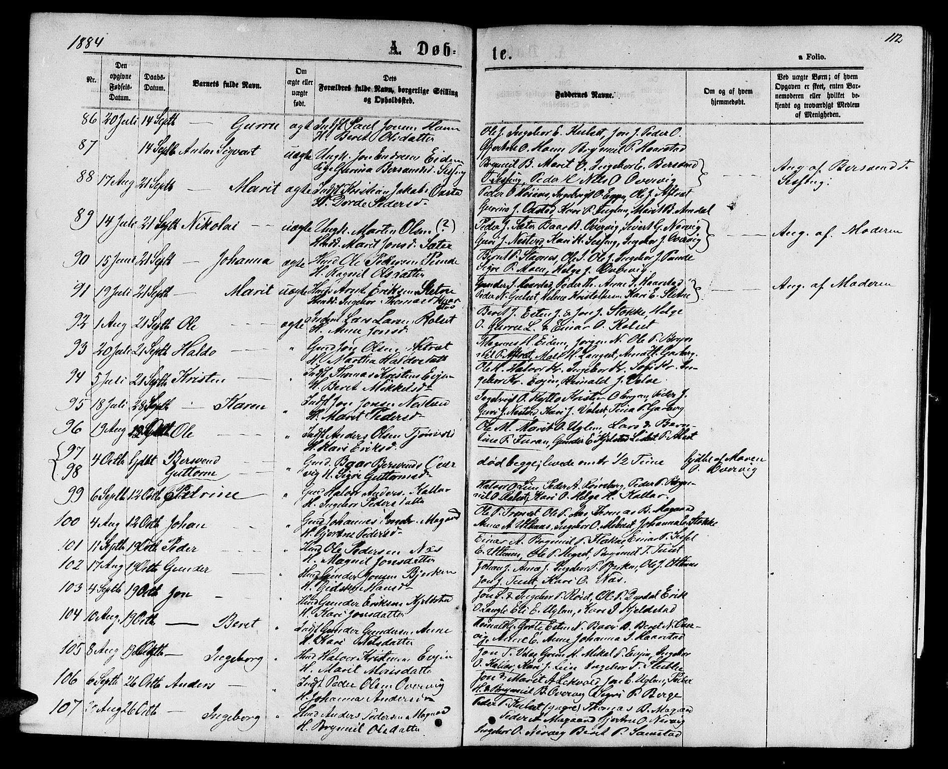 Ministerialprotokoller, klokkerbøker og fødselsregistre - Sør-Trøndelag, SAT/A-1456/695/L1156: Parish register (copy) no. 695C07, 1869-1888, p. 112