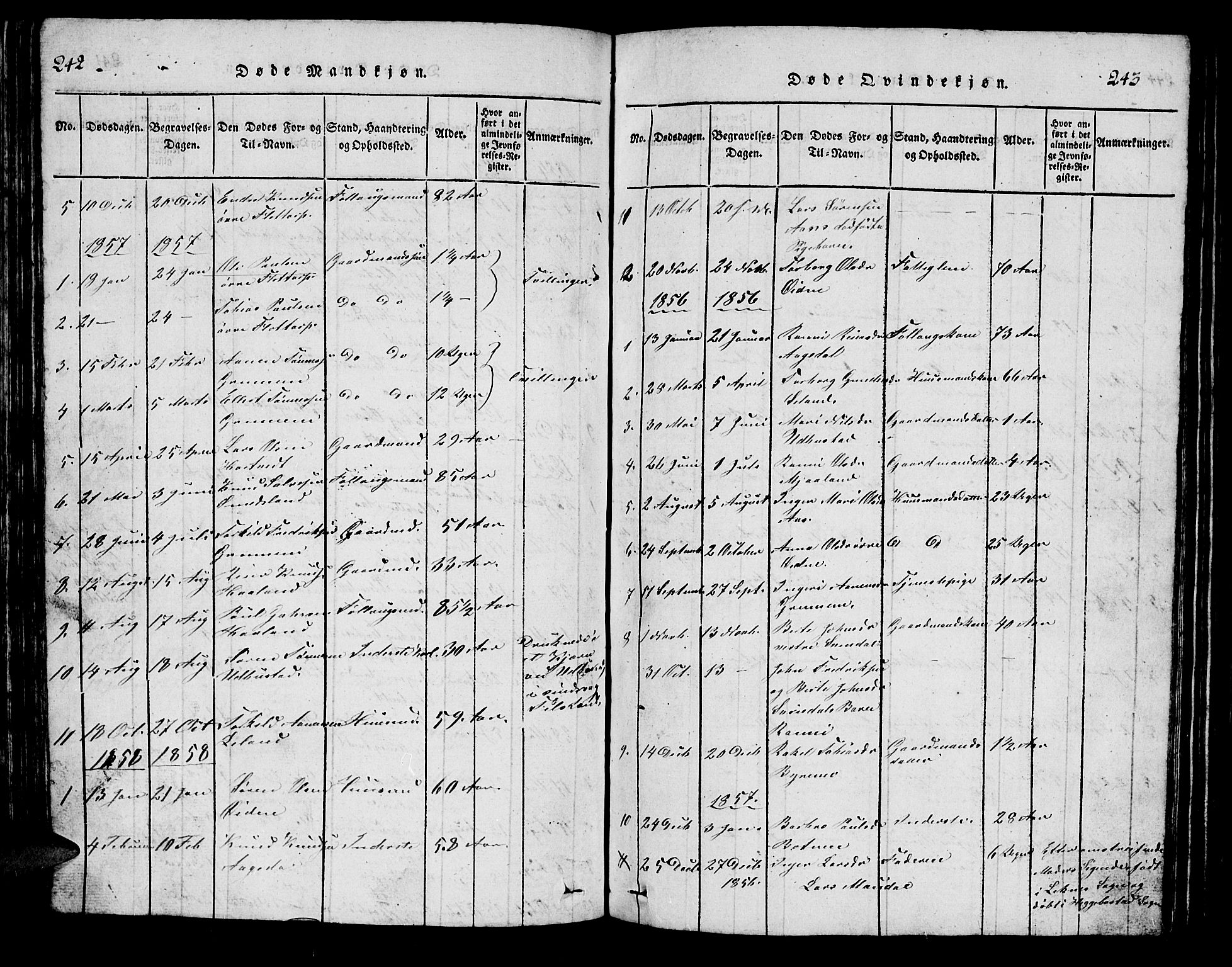 Bjelland sokneprestkontor, SAK/1111-0005/F/Fb/Fbc/L0001: Parish register (copy) no. B 1, 1815-1870, p. 242-243