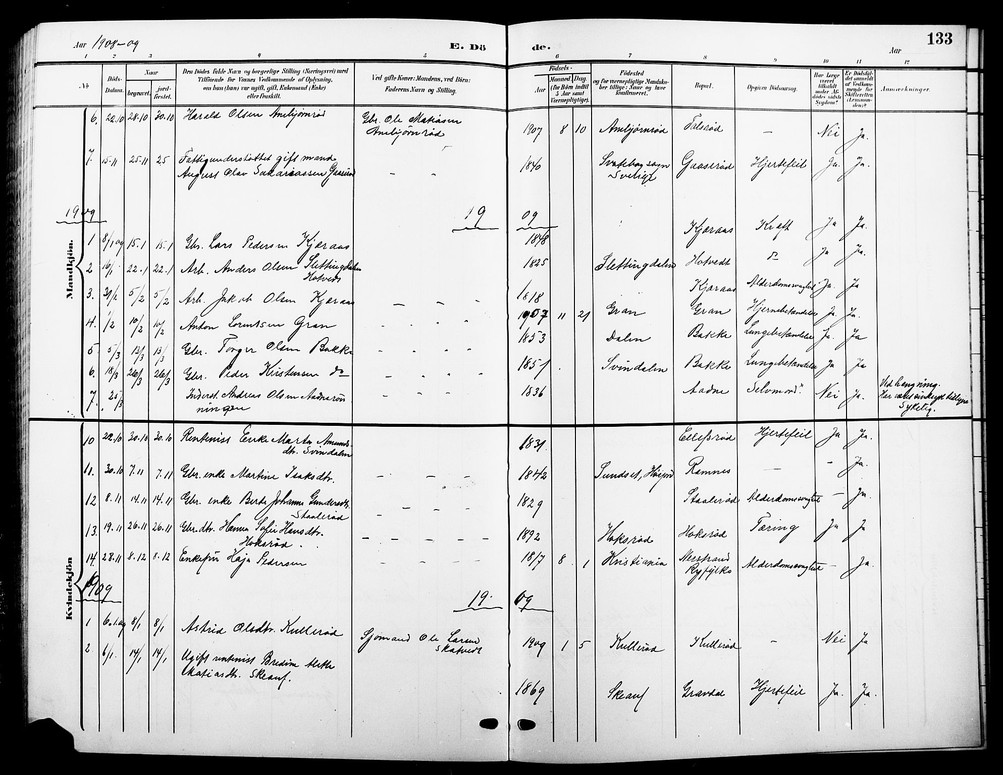 Andebu kirkebøker, AV/SAKO-A-336/G/Ga/L0005: Parish register (copy) no. I 5, 1901-1925, p. 133