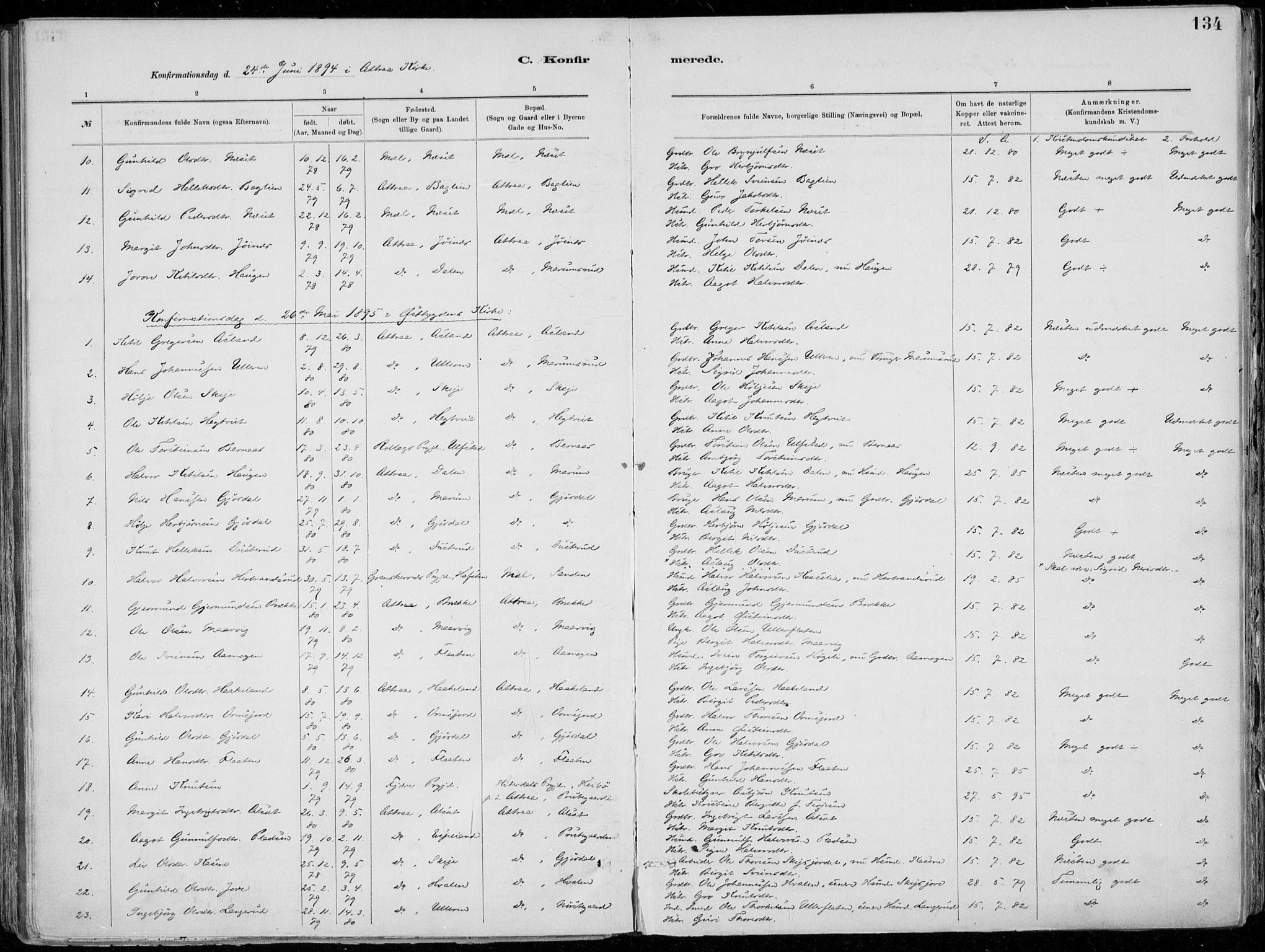 Tinn kirkebøker, SAKO/A-308/F/Fa/L0007: Parish register (official) no. I 7, 1878-1922, p. 134