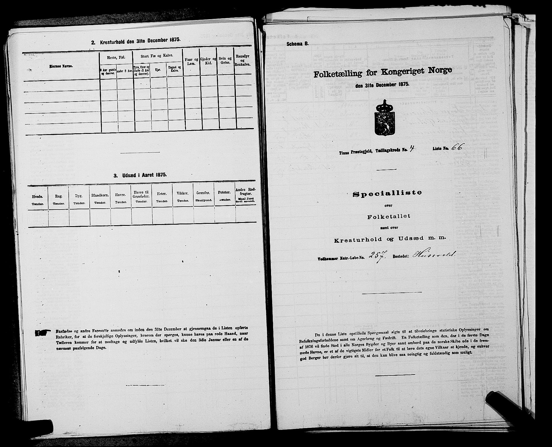 SAKO, 1875 census for 0826P Tinn, 1875, p. 595