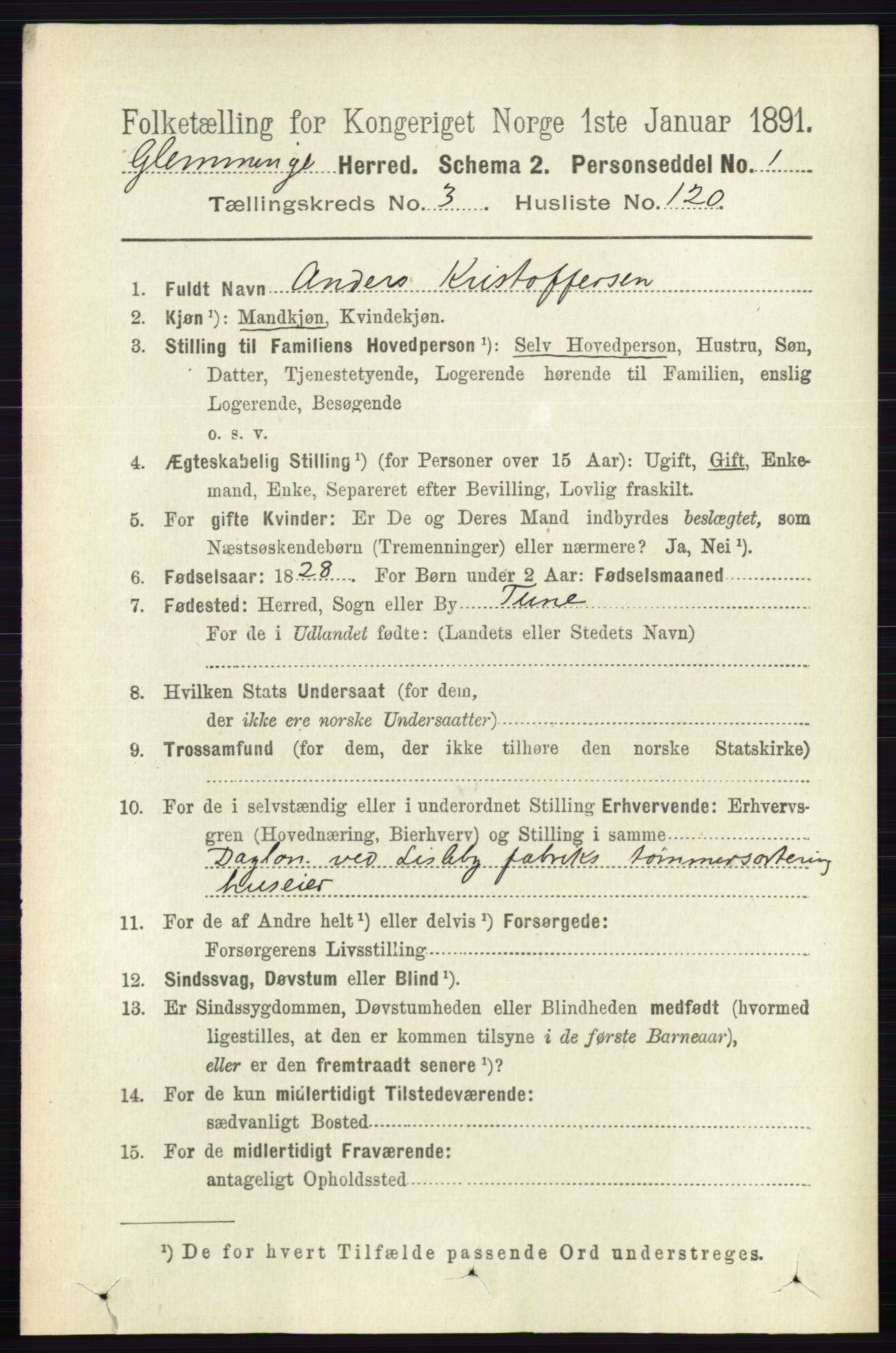 RA, 1891 census for 0132 Glemmen, 1891, p. 3093