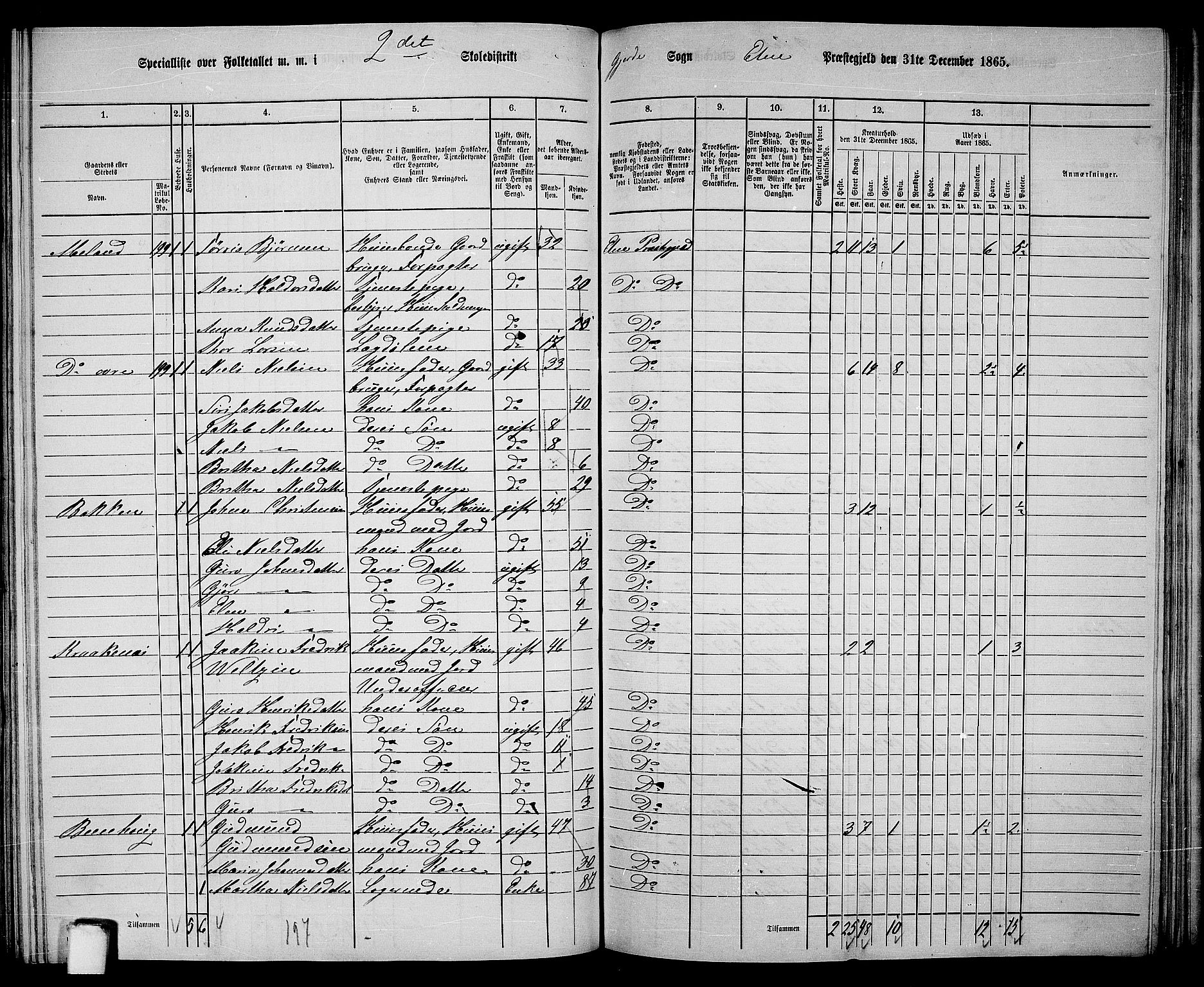 RA, 1865 census for Etne, 1865, p. 143