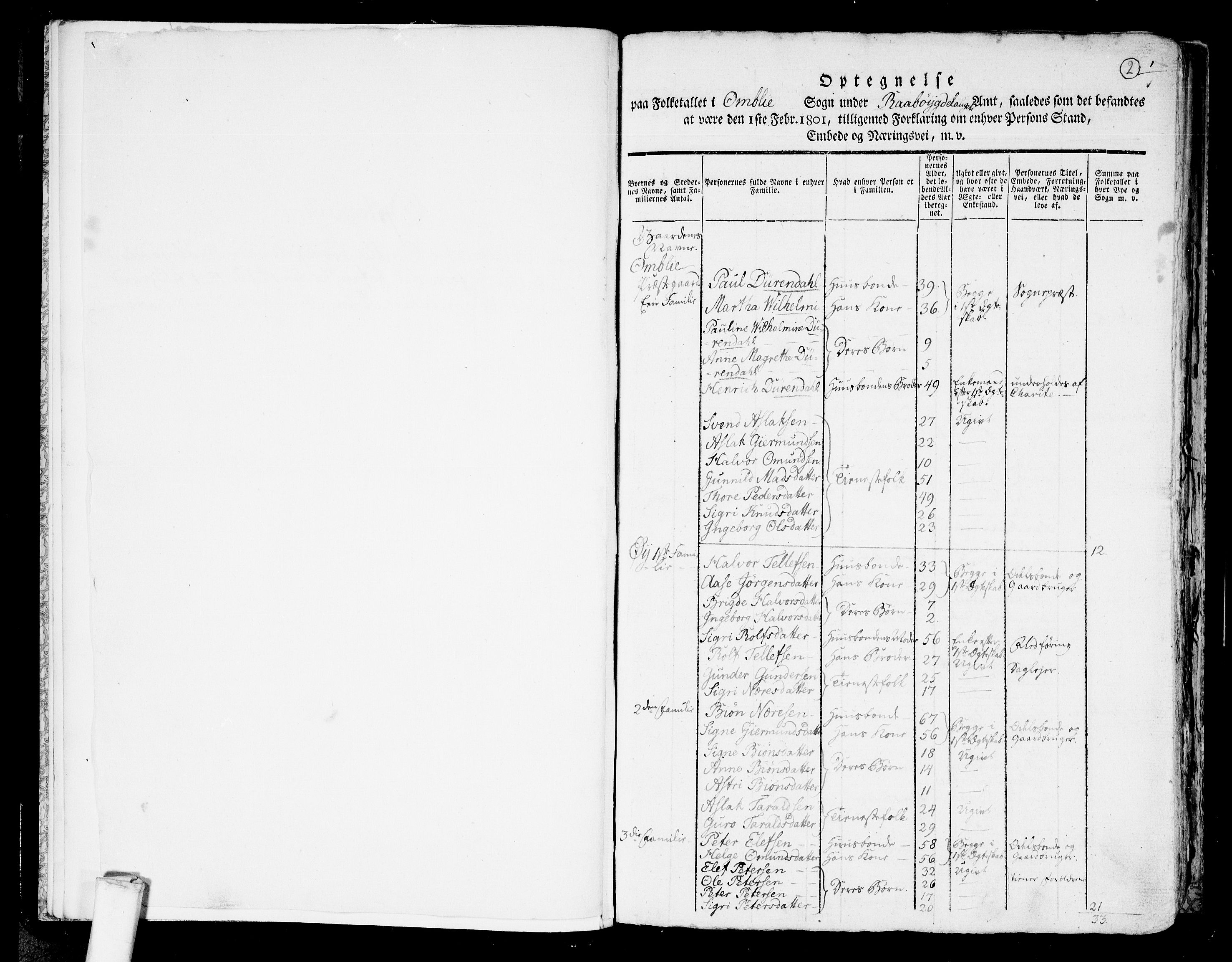 RA, 1801 census for 0929P Åmli, 1801, p. 1b-2a