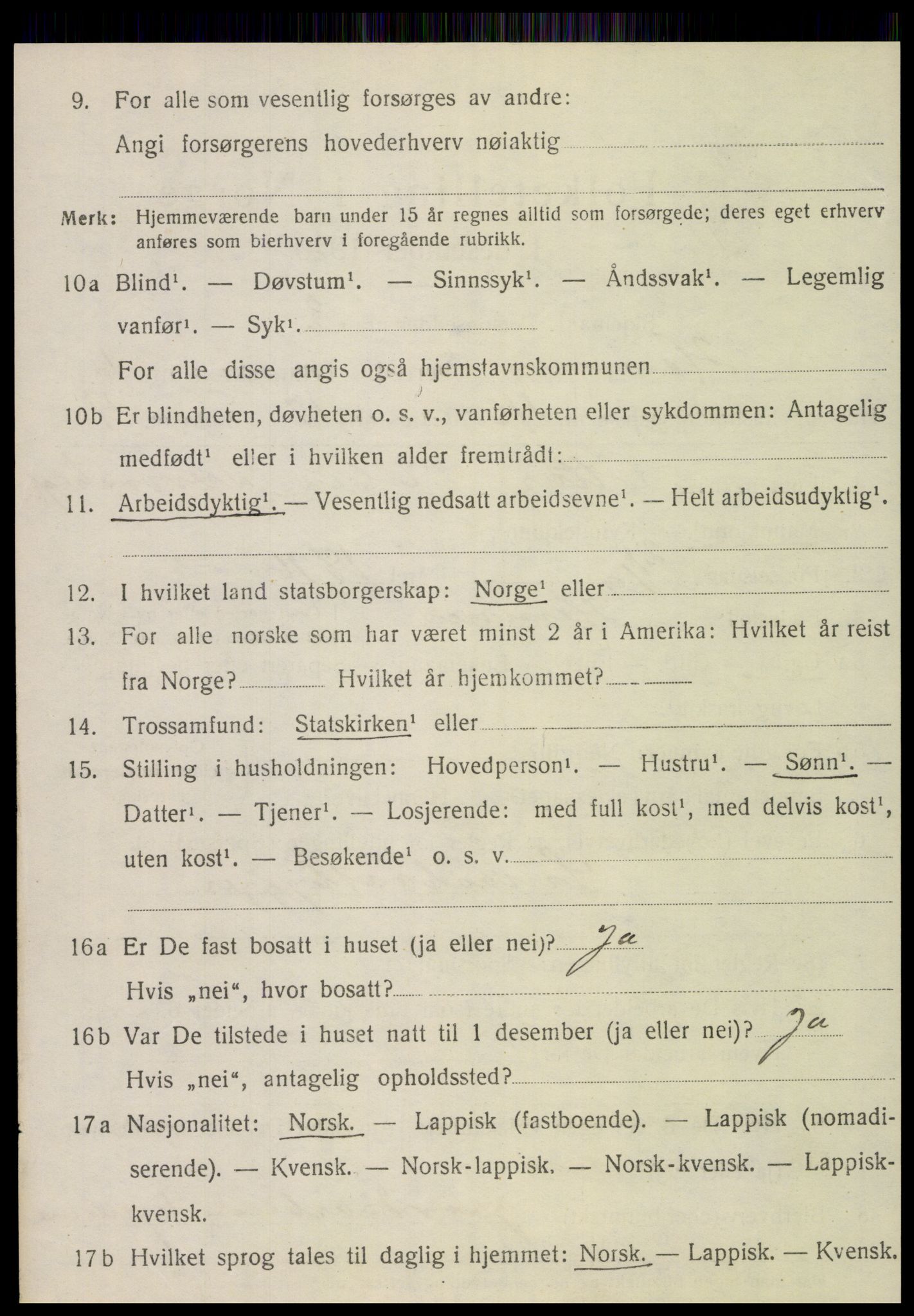 SAT, 1920 census for Hemnes, 1920, p. 6915