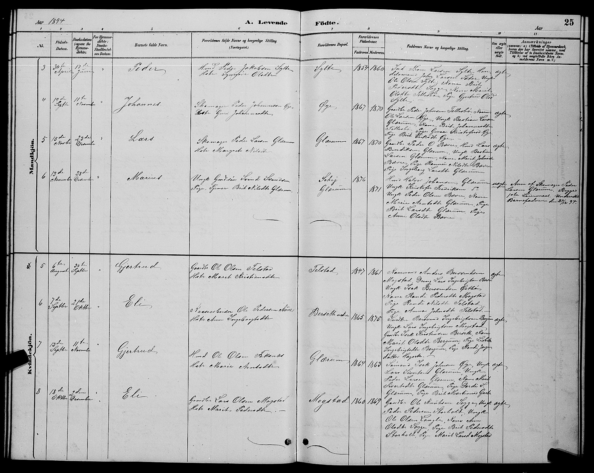 Ministerialprotokoller, klokkerbøker og fødselsregistre - Møre og Romsdal, AV/SAT-A-1454/595/L1052: Parish register (copy) no. 595C04, 1885-1900, p. 25