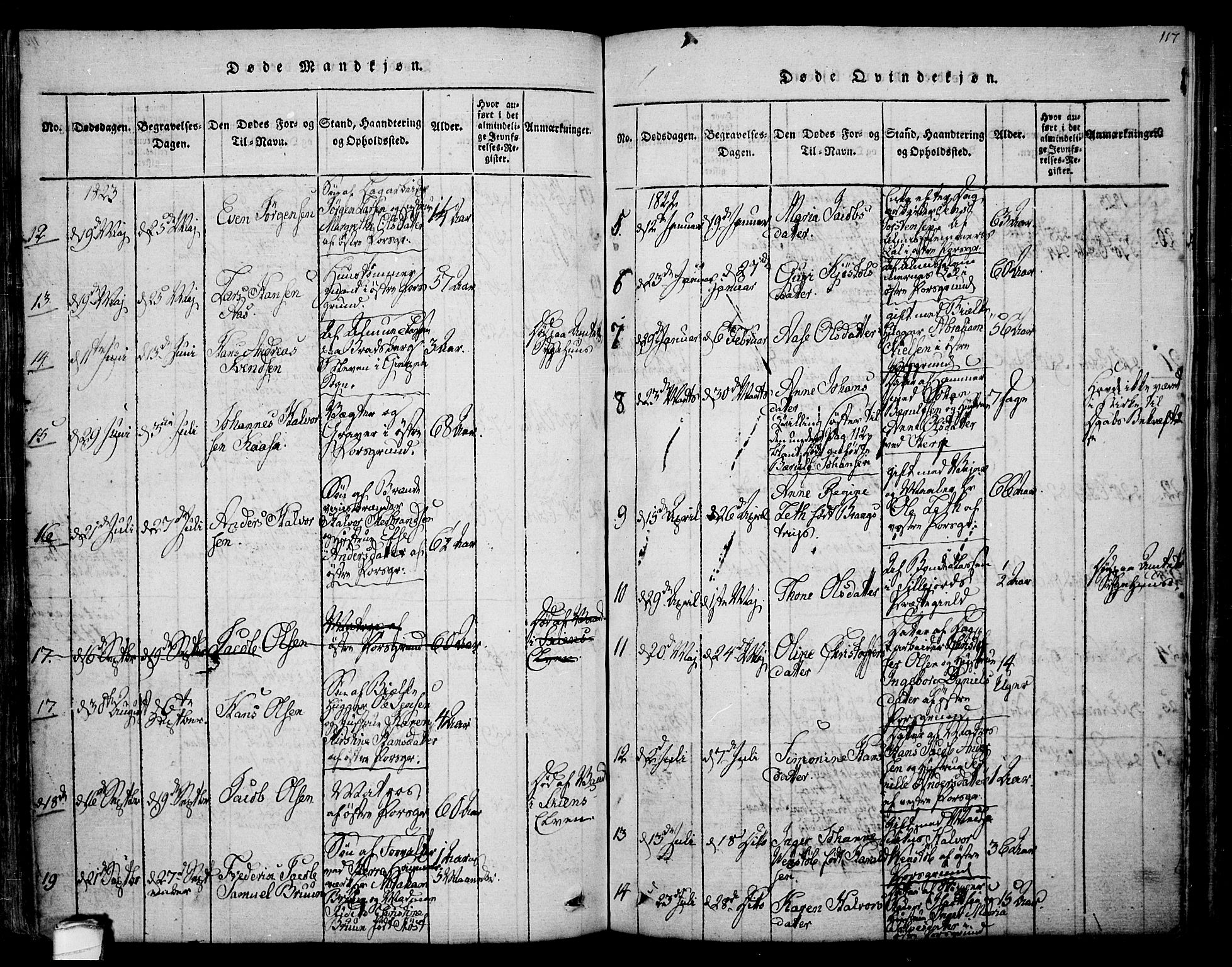 Porsgrunn kirkebøker , AV/SAKO-A-104/F/Fa/L0004: Parish register (official) no. 4, 1814-1828, p. 117