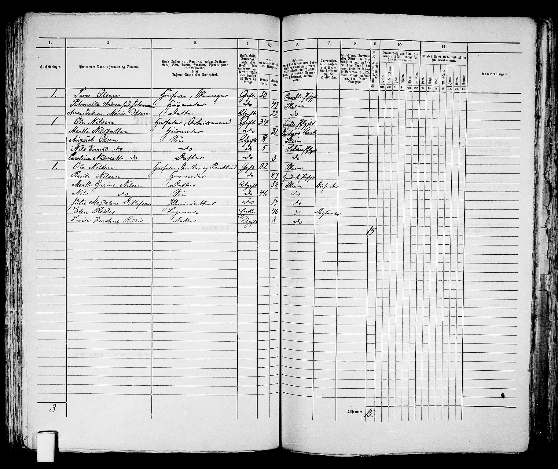 RA, 1865 census for Skien, 1865, p. 607