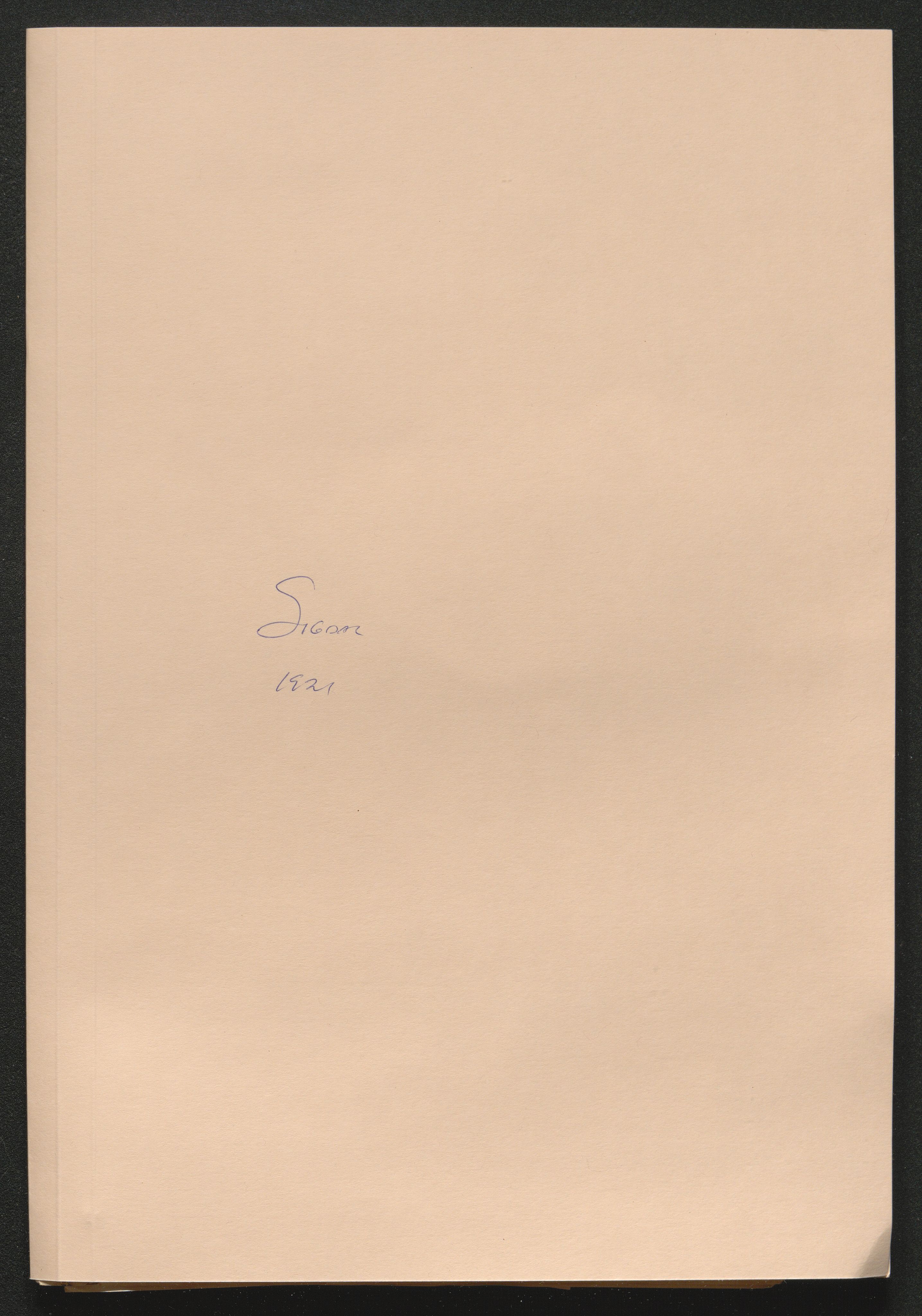 Eiker, Modum og Sigdal sorenskriveri, SAKO/A-123/H/Ha/Hab/L0040: Dødsfallsmeldinger, 1920-1921, p. 1113