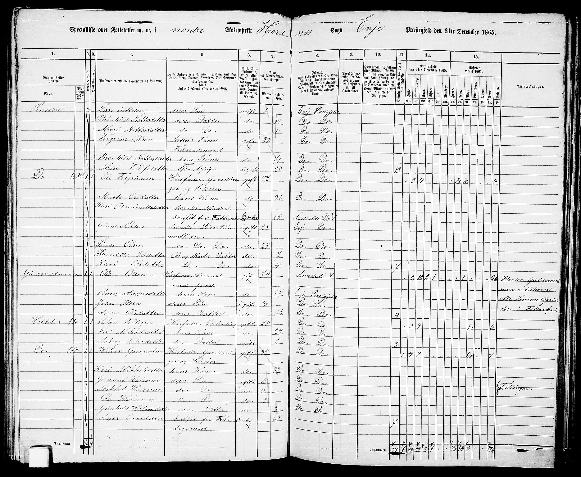 RA, 1865 census for Evje, 1865, p. 107