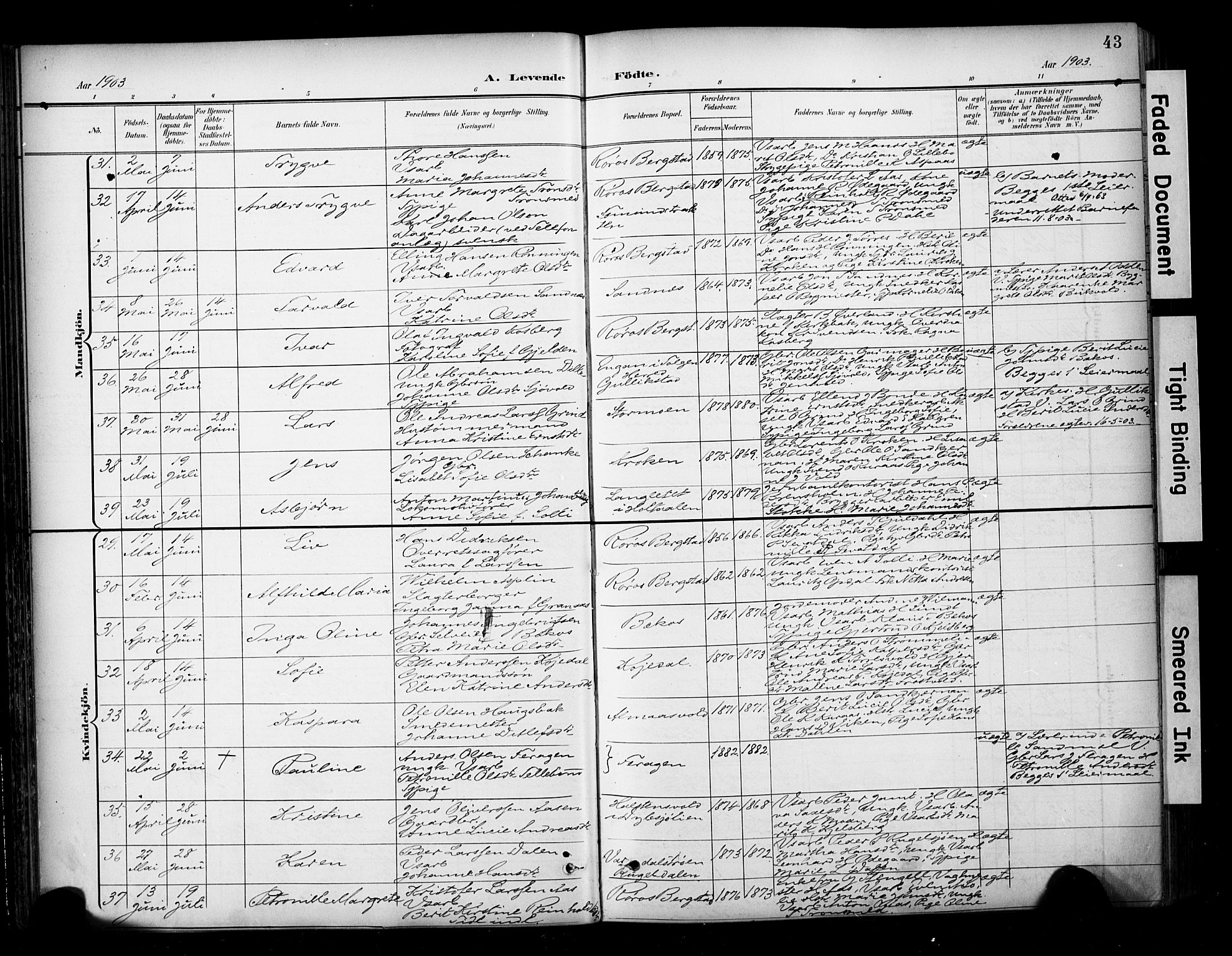 Ministerialprotokoller, klokkerbøker og fødselsregistre - Sør-Trøndelag, AV/SAT-A-1456/681/L0936: Parish register (official) no. 681A14, 1899-1908, p. 43