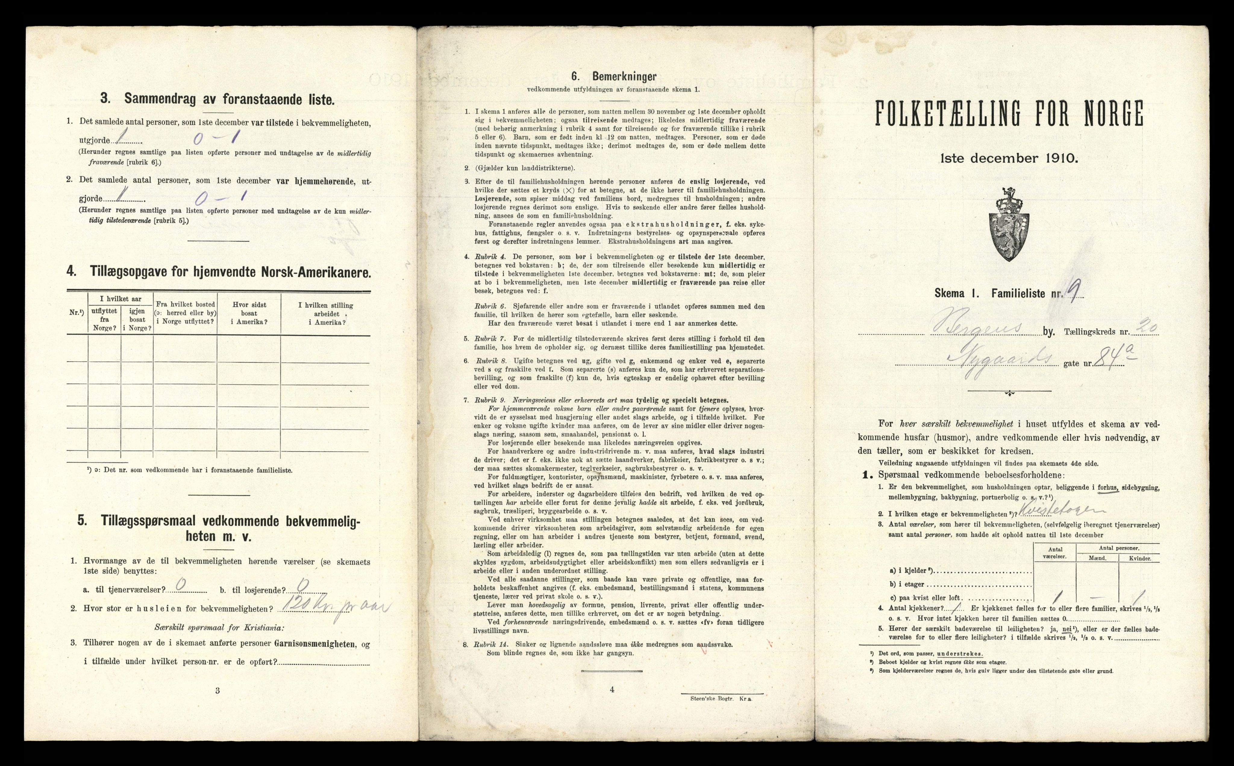 RA, 1910 census for Bergen, 1910, p. 6767