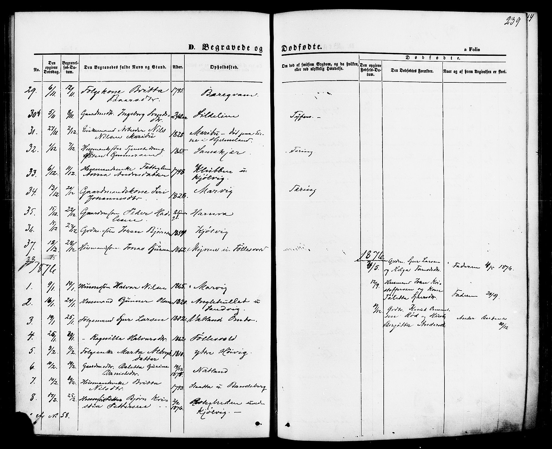 Jelsa sokneprestkontor, SAST/A-101842/01/IV: Parish register (official) no. A 8, 1867-1883, p. 239