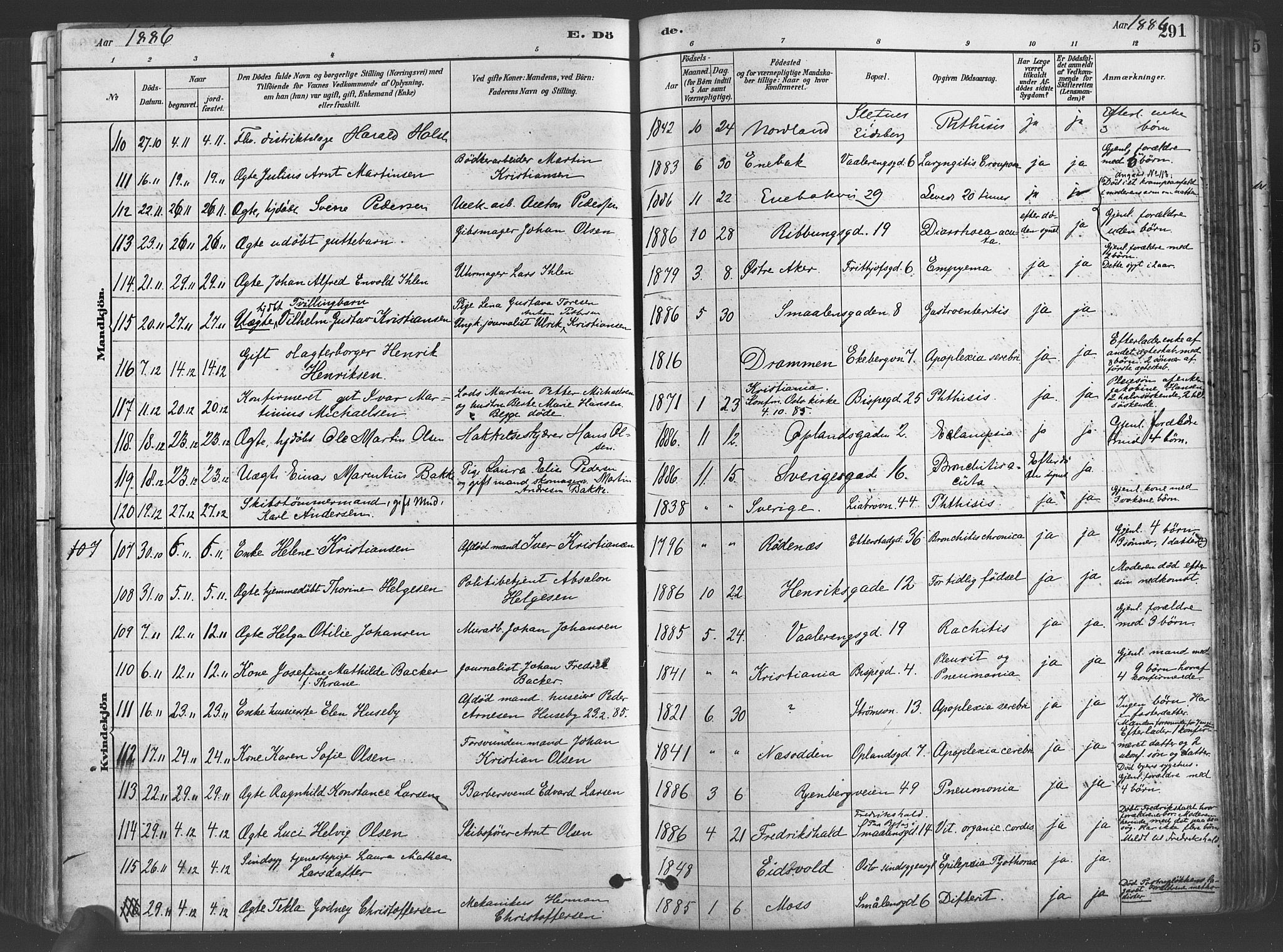 Gamlebyen prestekontor Kirkebøker, SAO/A-10884/F/Fa/L0006: Parish register (official) no. 6, 1881-1890, p. 291