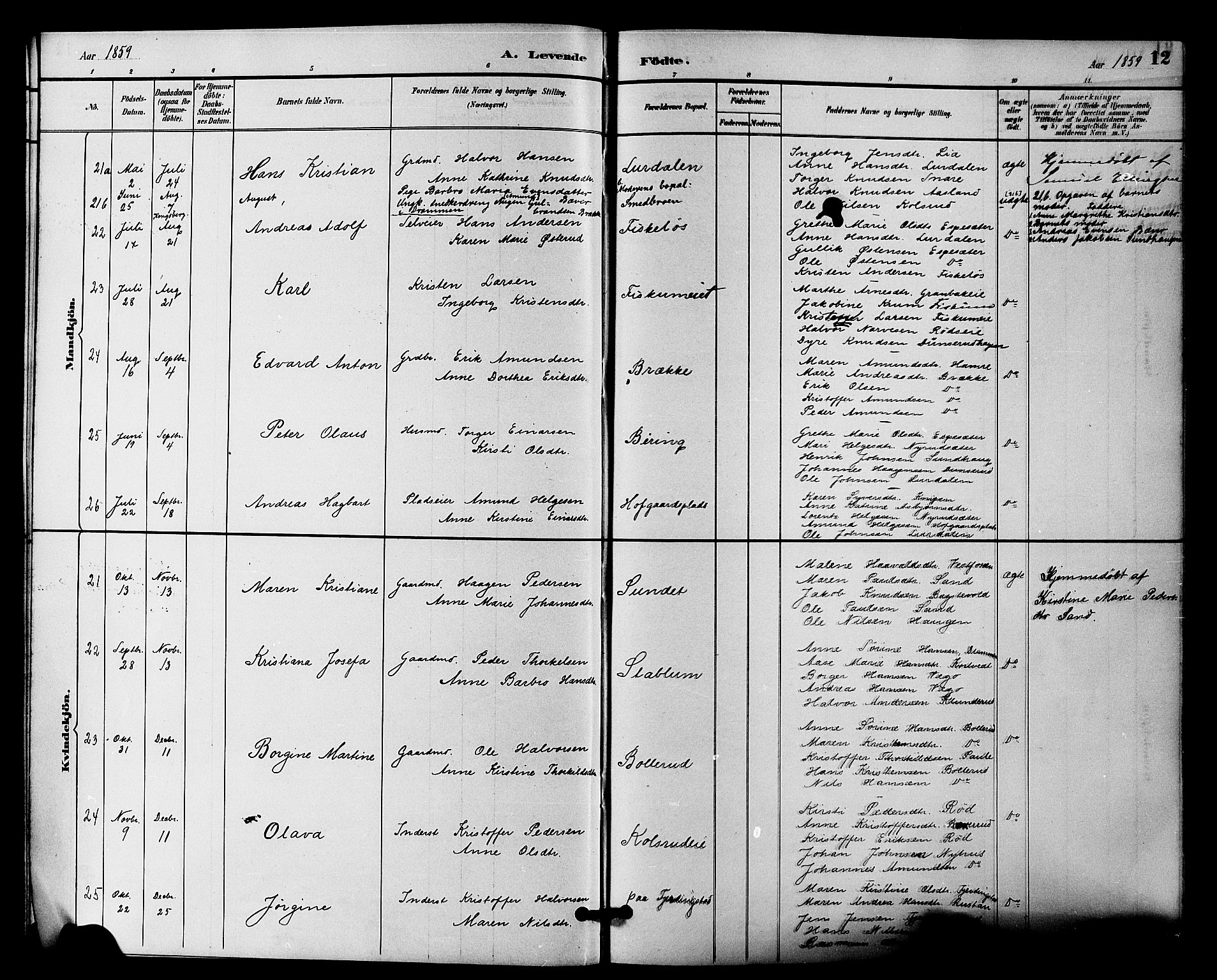 Fiskum kirkebøker, SAKO/A-15/F/Fa/L0001: Parish register (official) no. 1, 1858-1877, p. 12