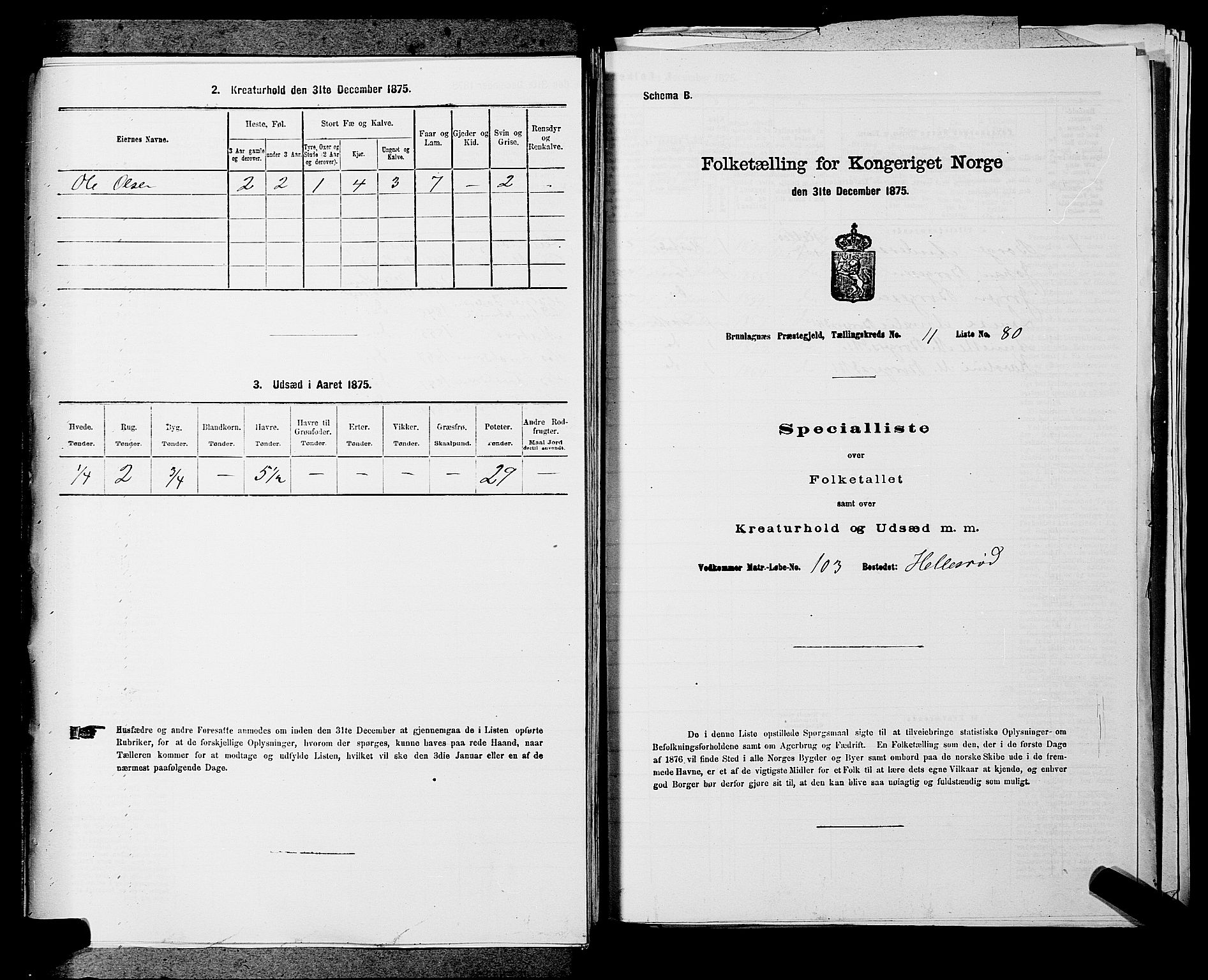 SAKO, 1875 census for 0726P Brunlanes, 1875, p. 1551