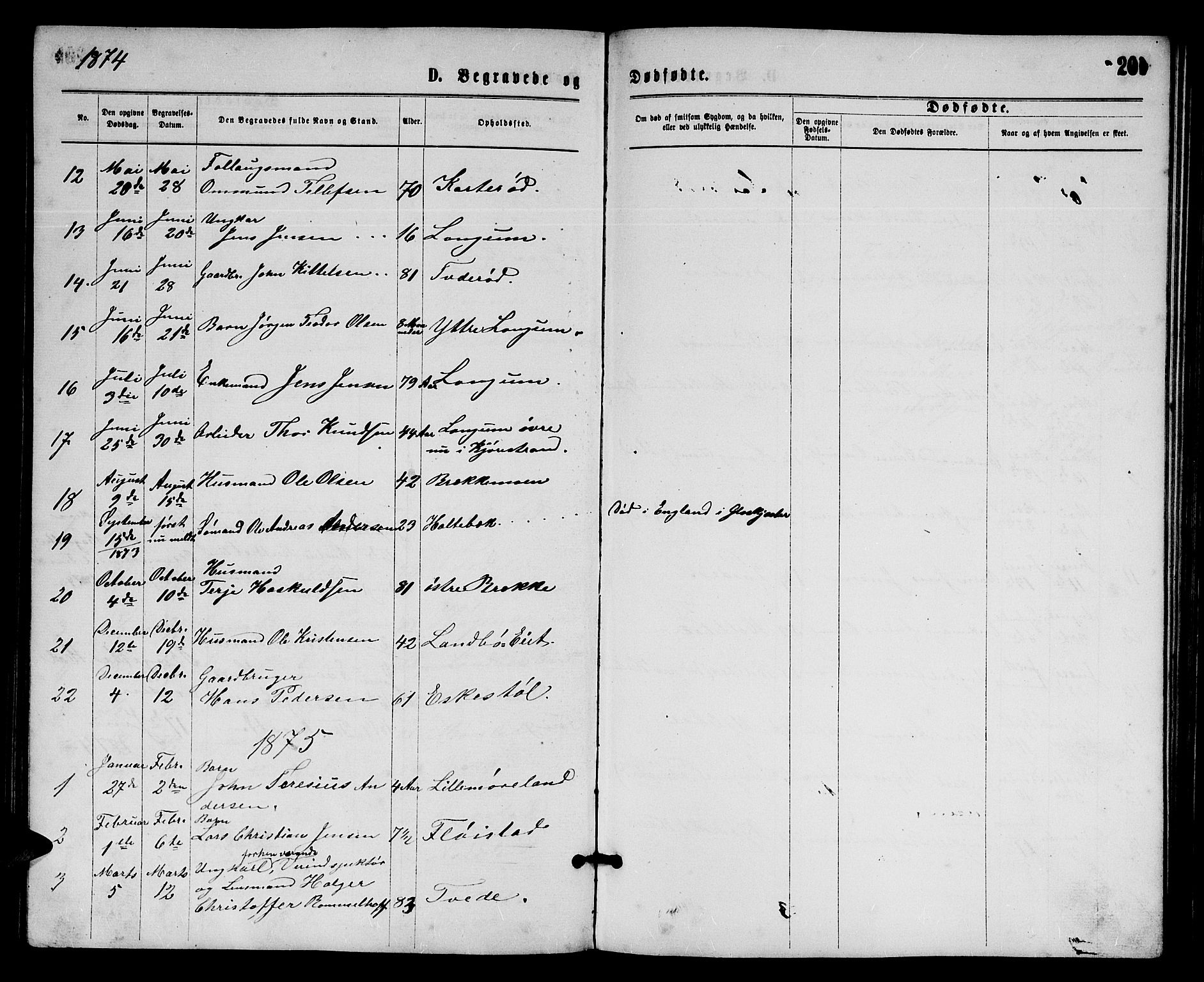 Austre Moland sokneprestkontor, AV/SAK-1111-0001/F/Fb/Fba/L0002: Parish register (copy) no. B 2, 1869-1879, p. 201