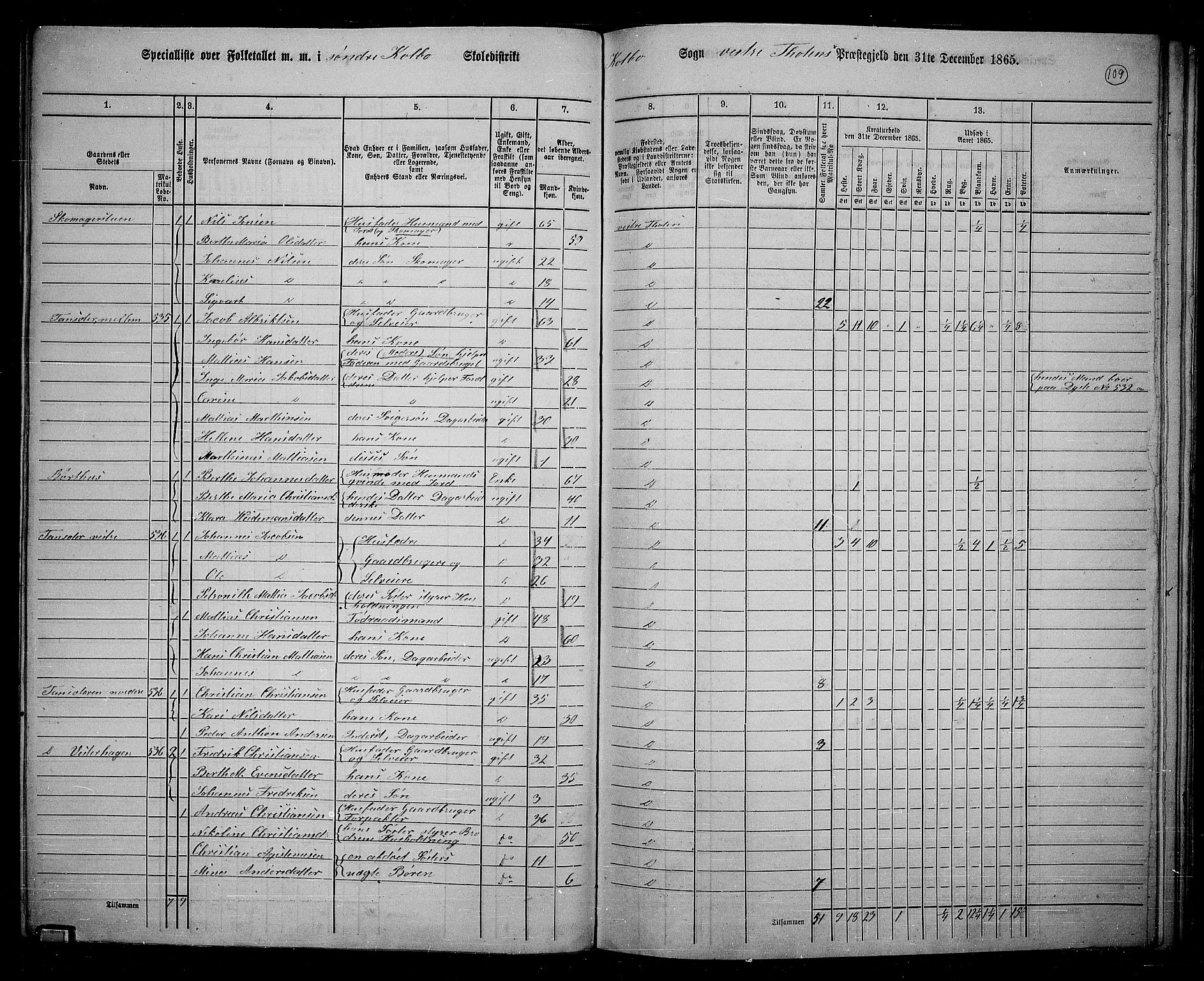 RA, 1865 census for Vestre Toten, 1865, p. 263